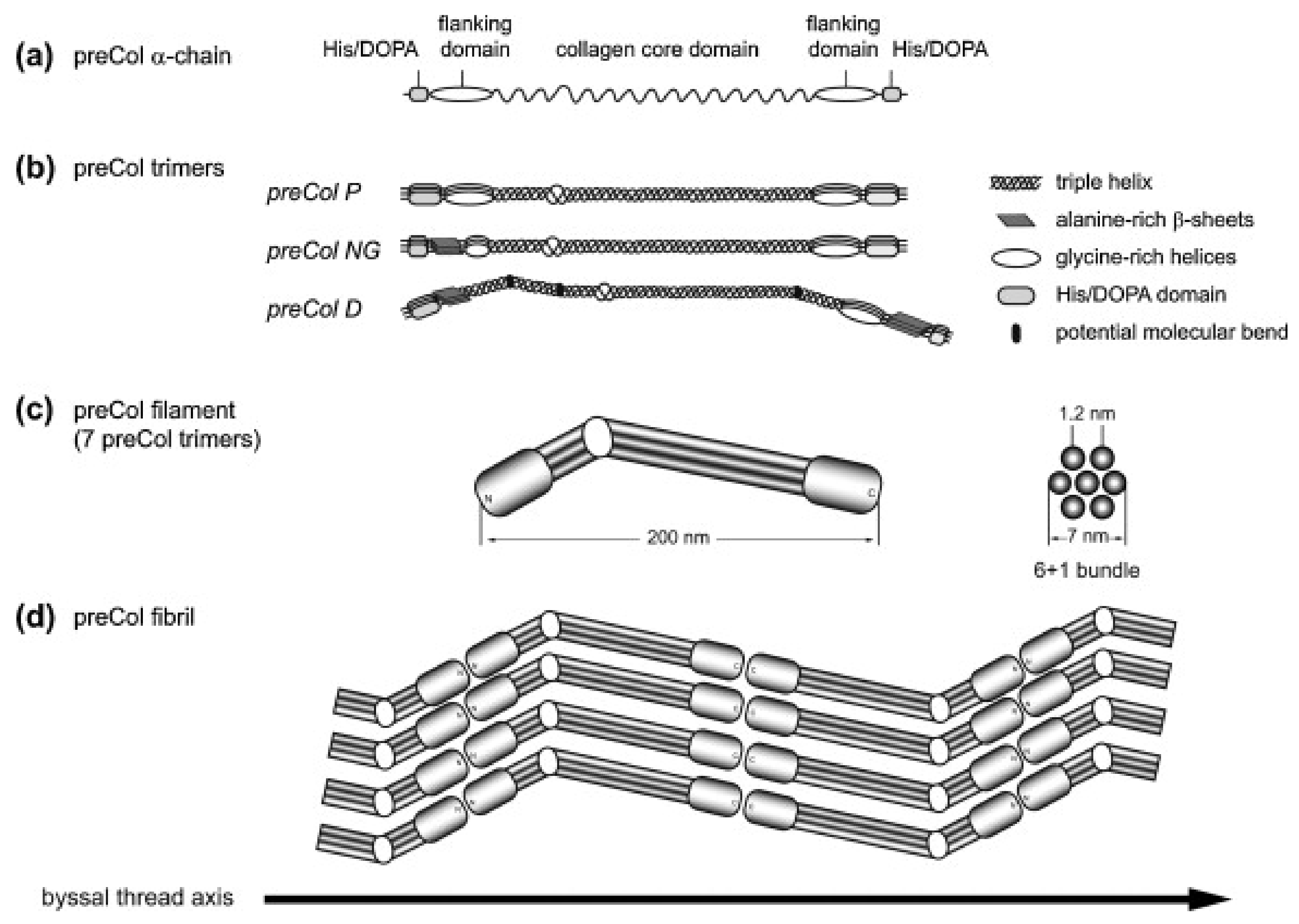 Fibers 06 00021 g003 Fibers 06 00021 g003