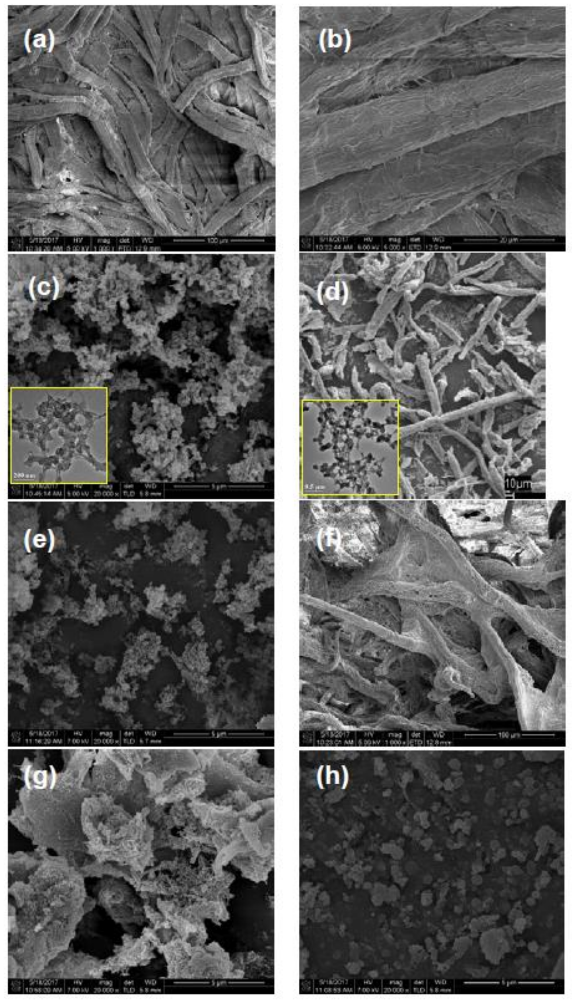Fibers 06 00022 g002