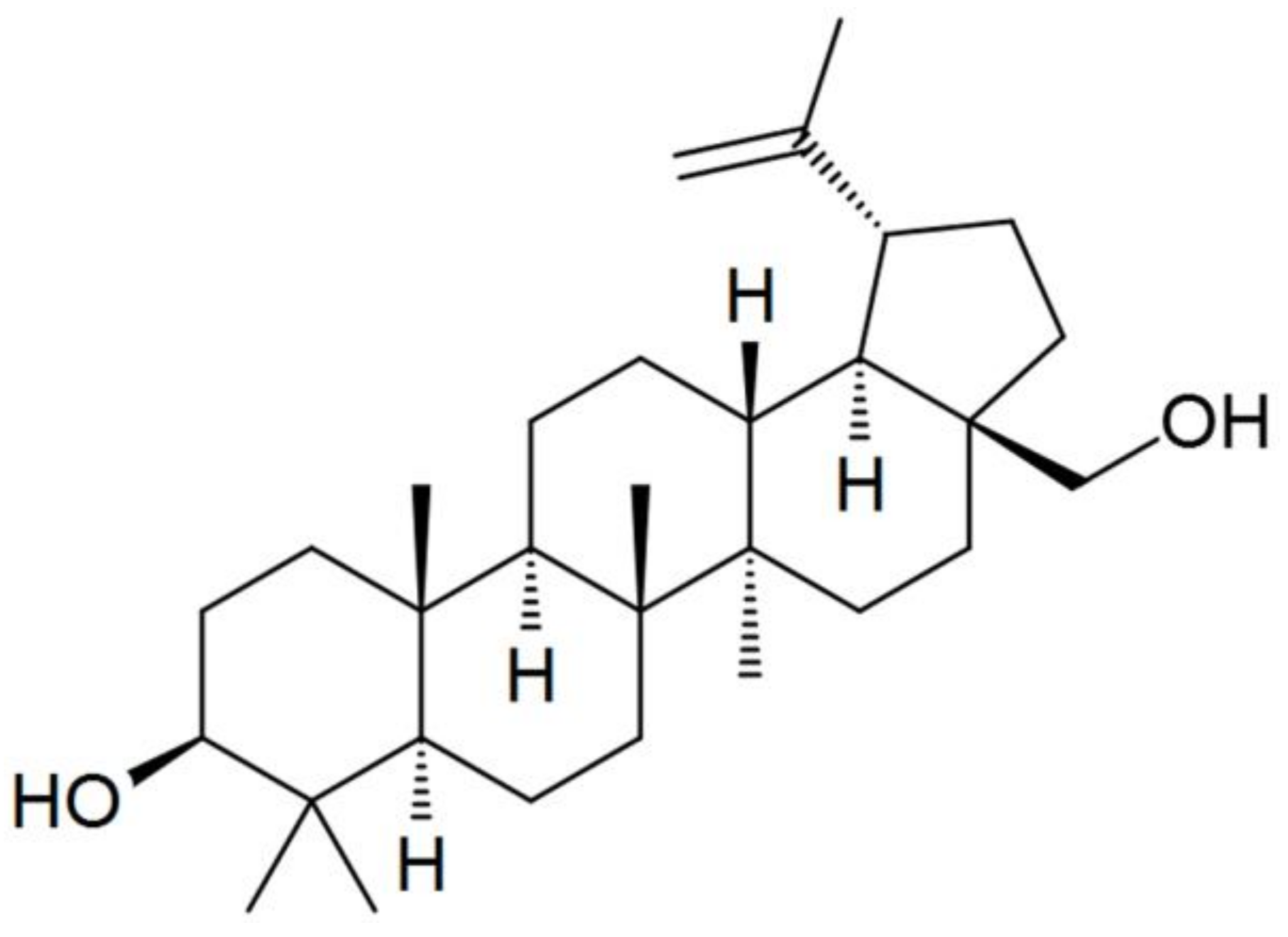 Fibers 06 00023 g001