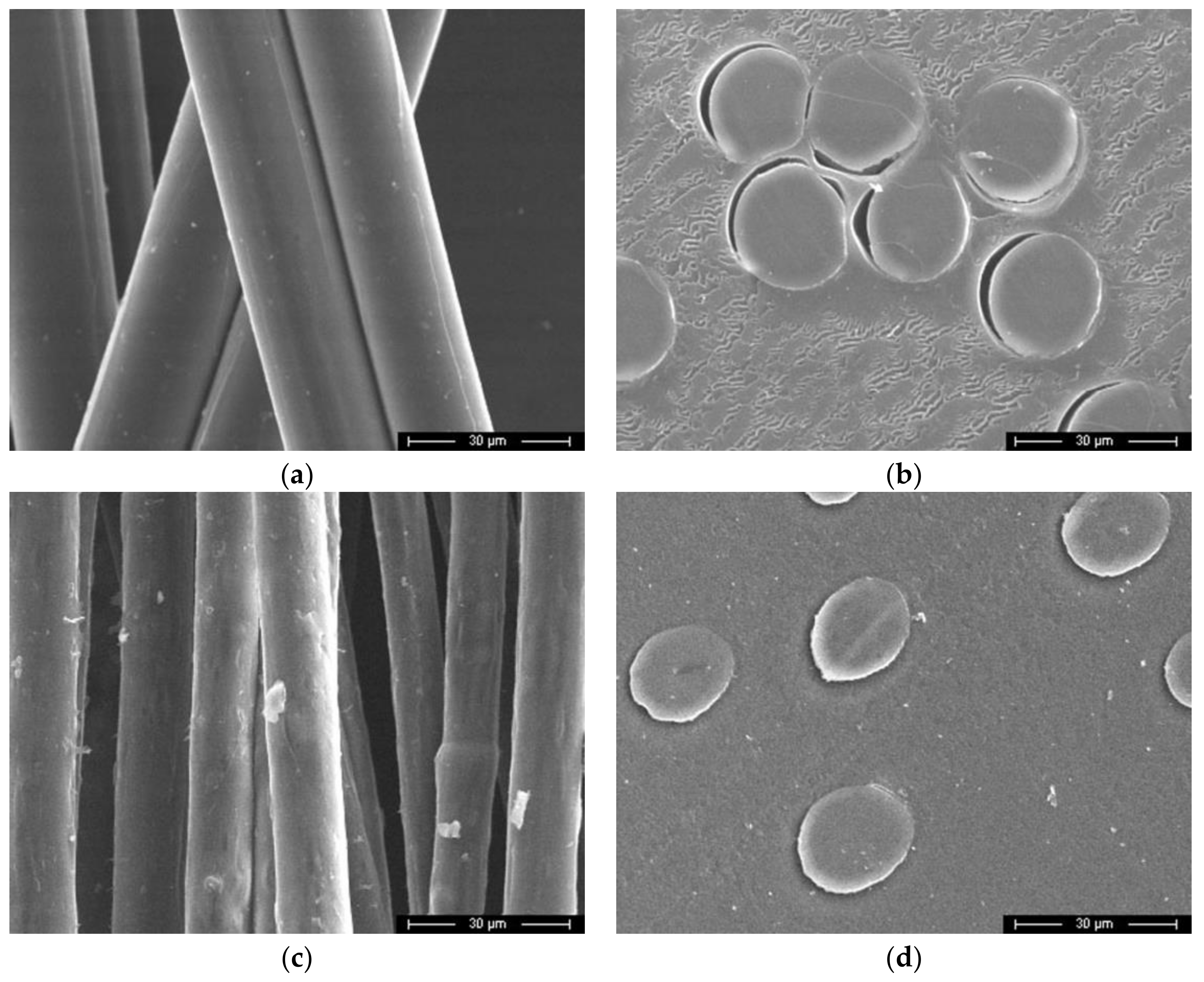 Fibers 06 00023 g005