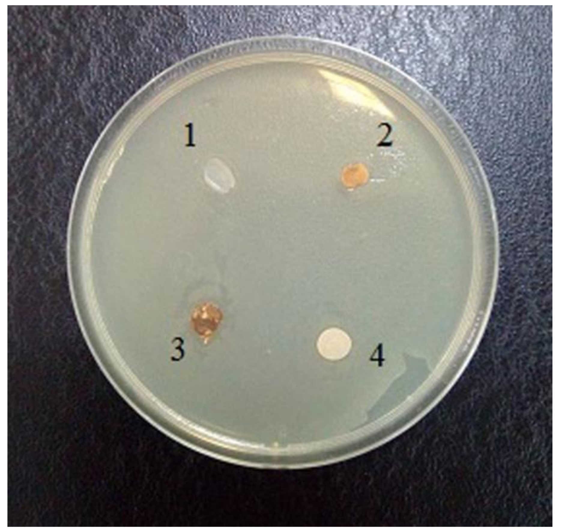 Fibers 06 00023 g008