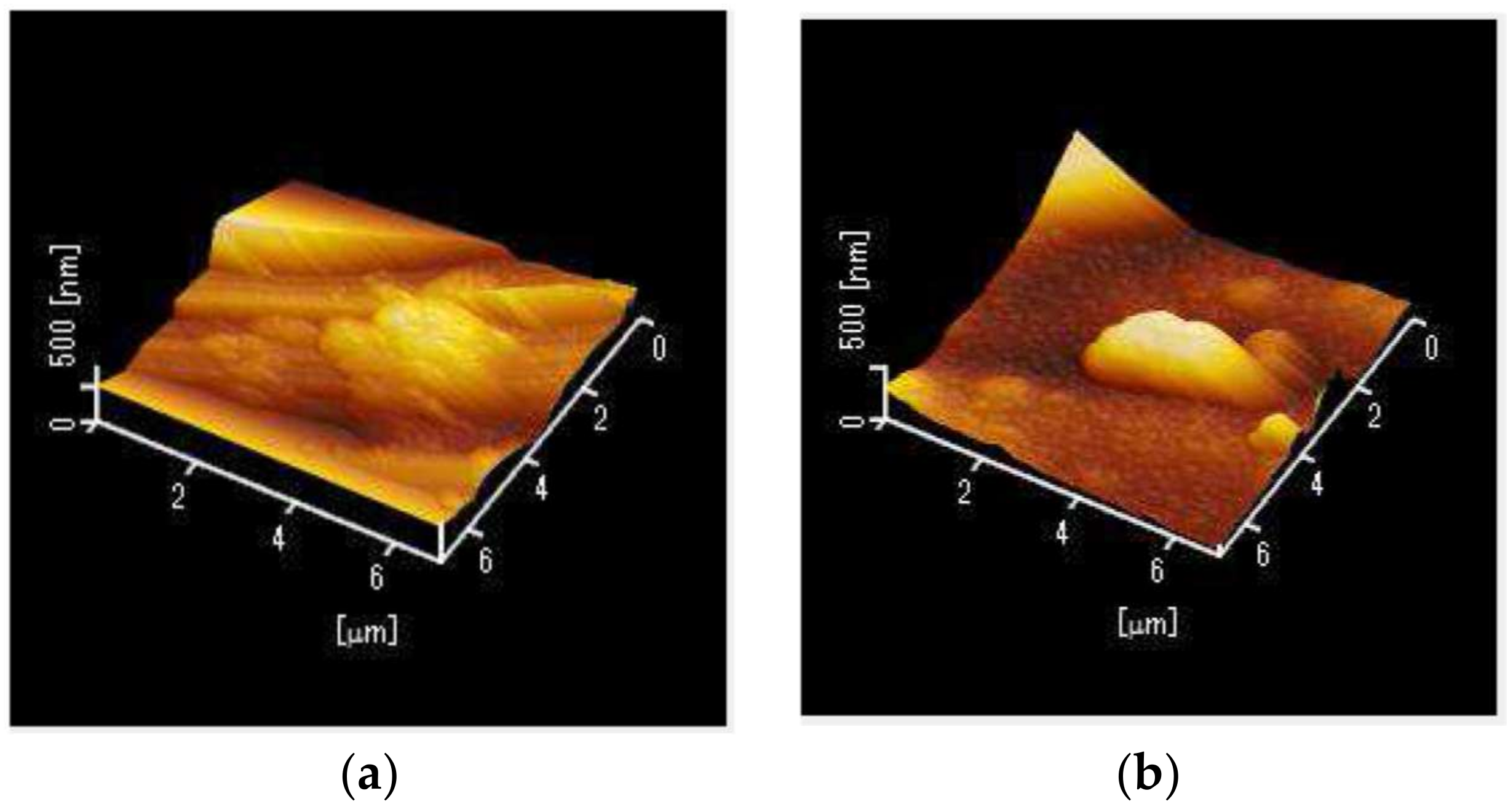 Fibers 06 00024 g003 Fibers 06 00024 g003