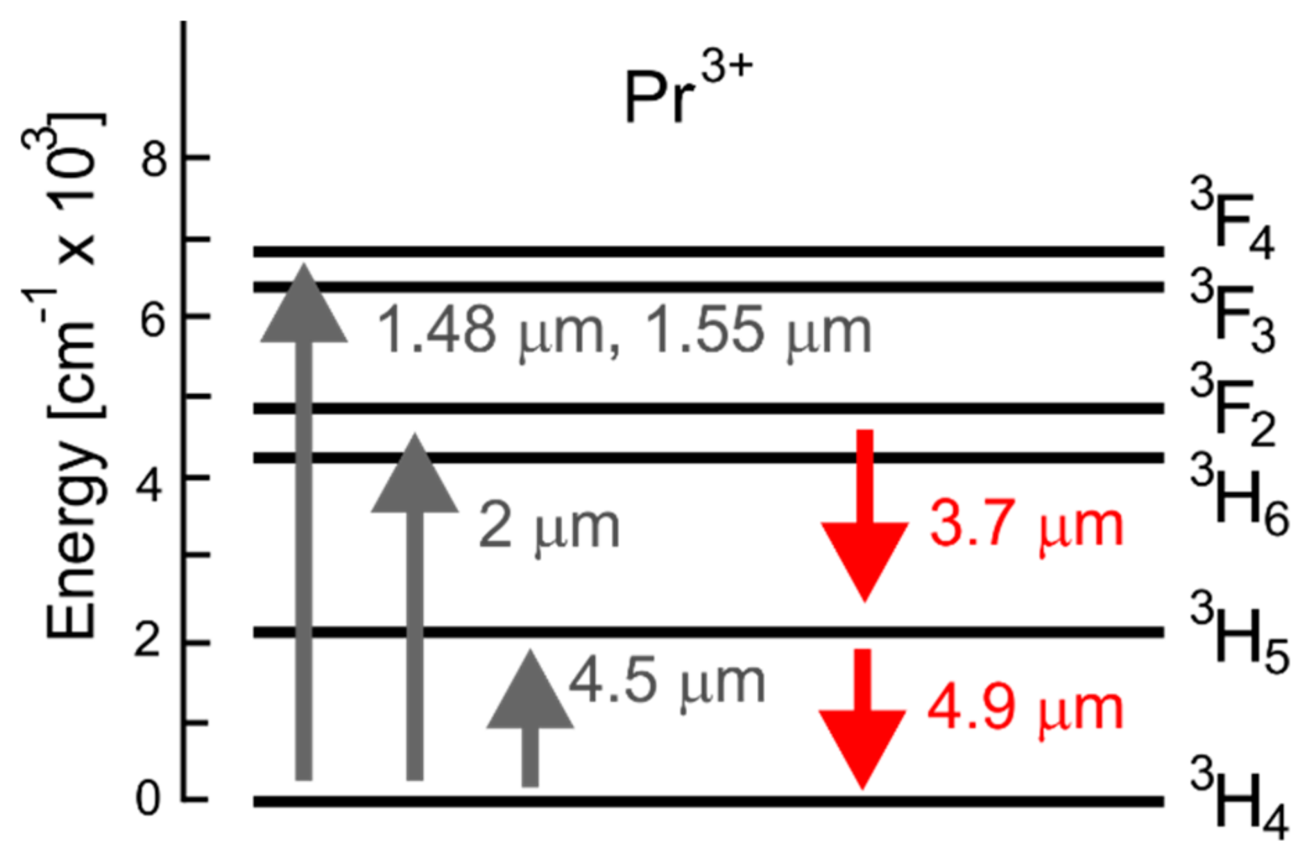 Fibers 06 00025 g001