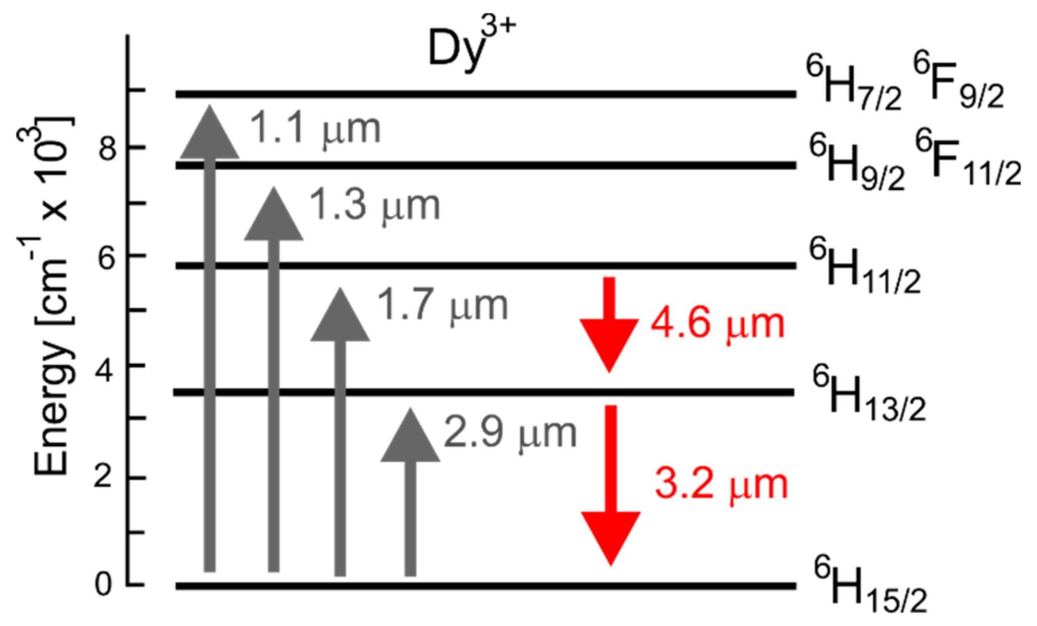 Fibers 06 00025 g002