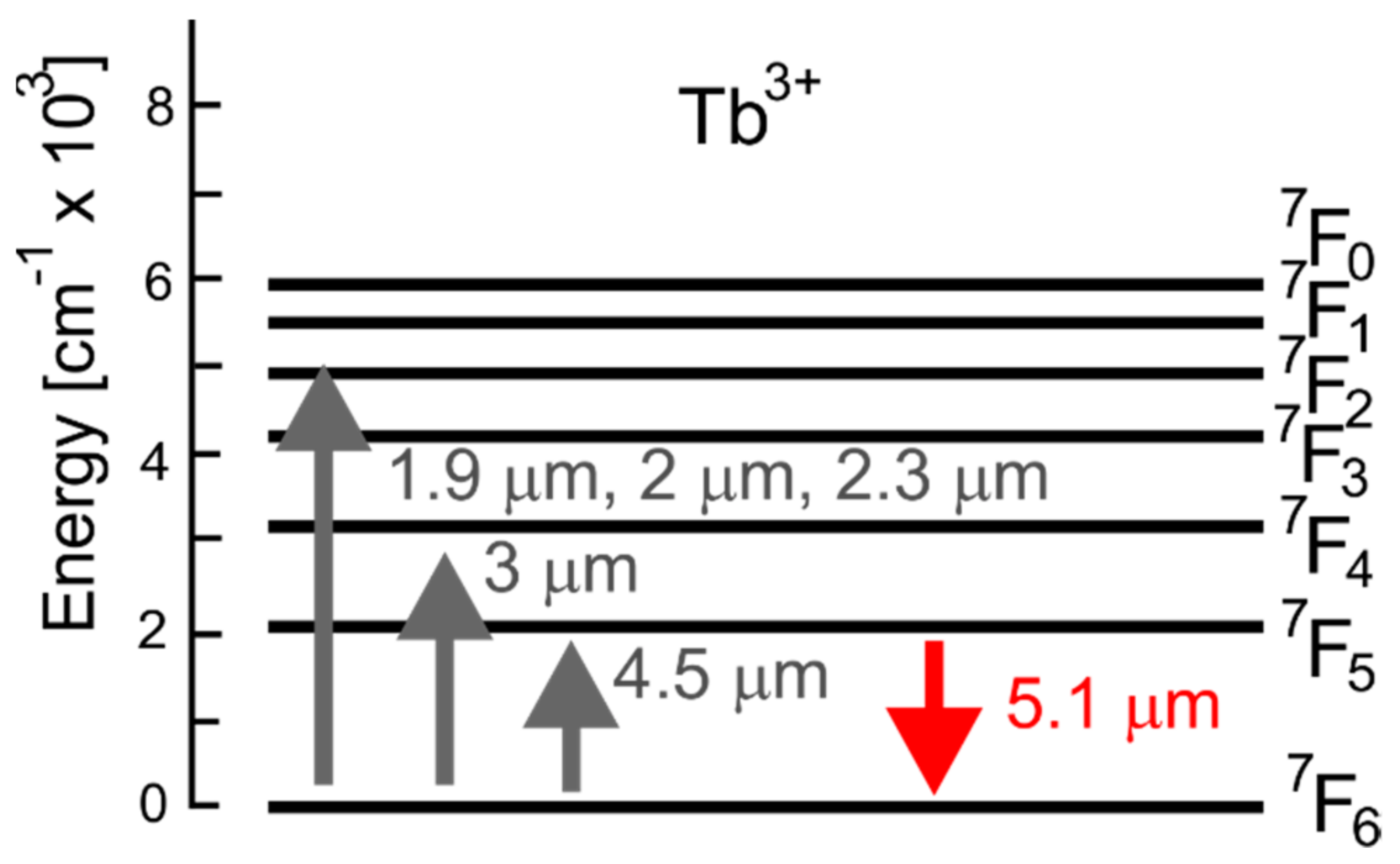 Fibers 06 00025 g003