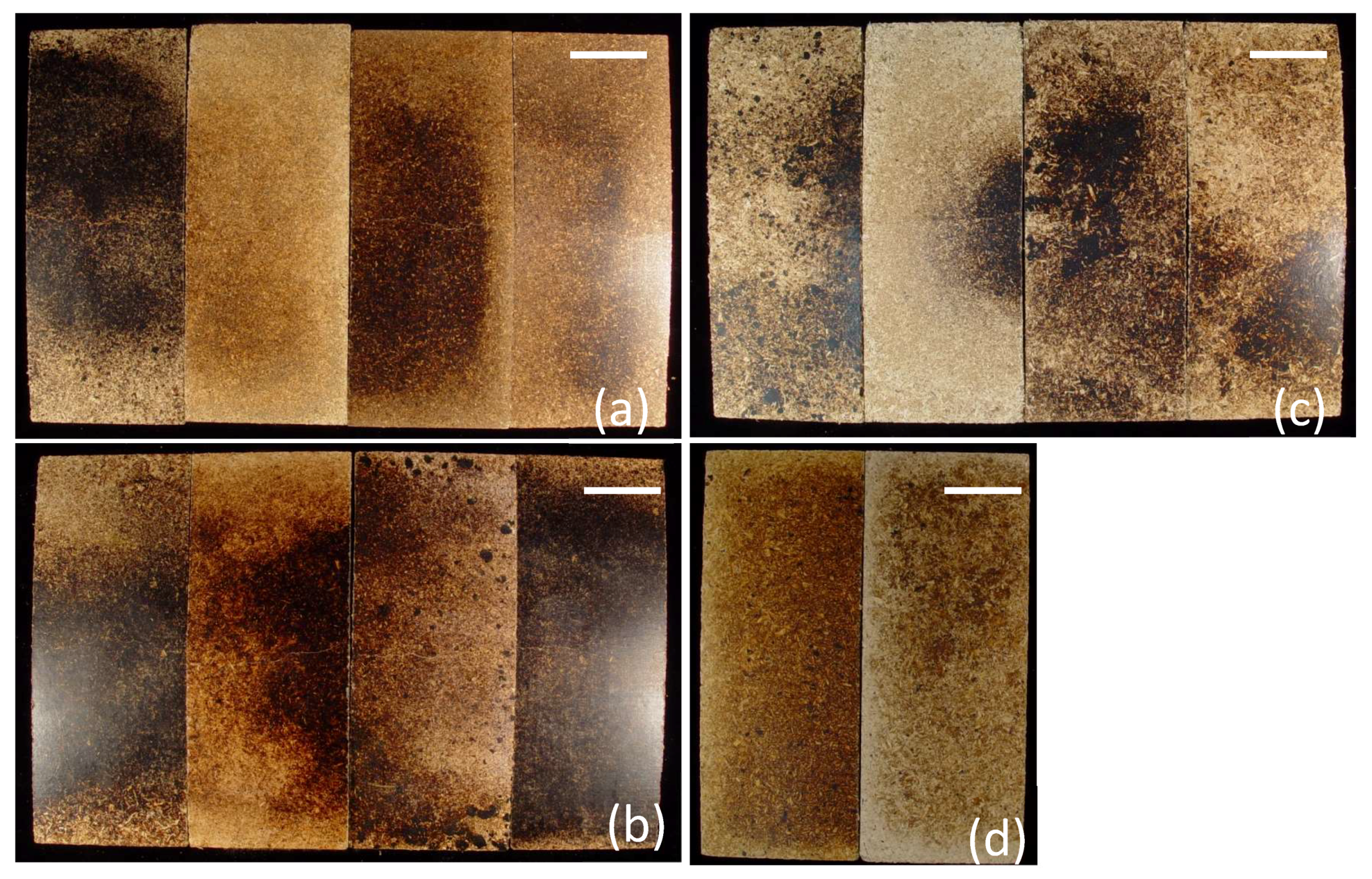 Fibers 06 00026 g001