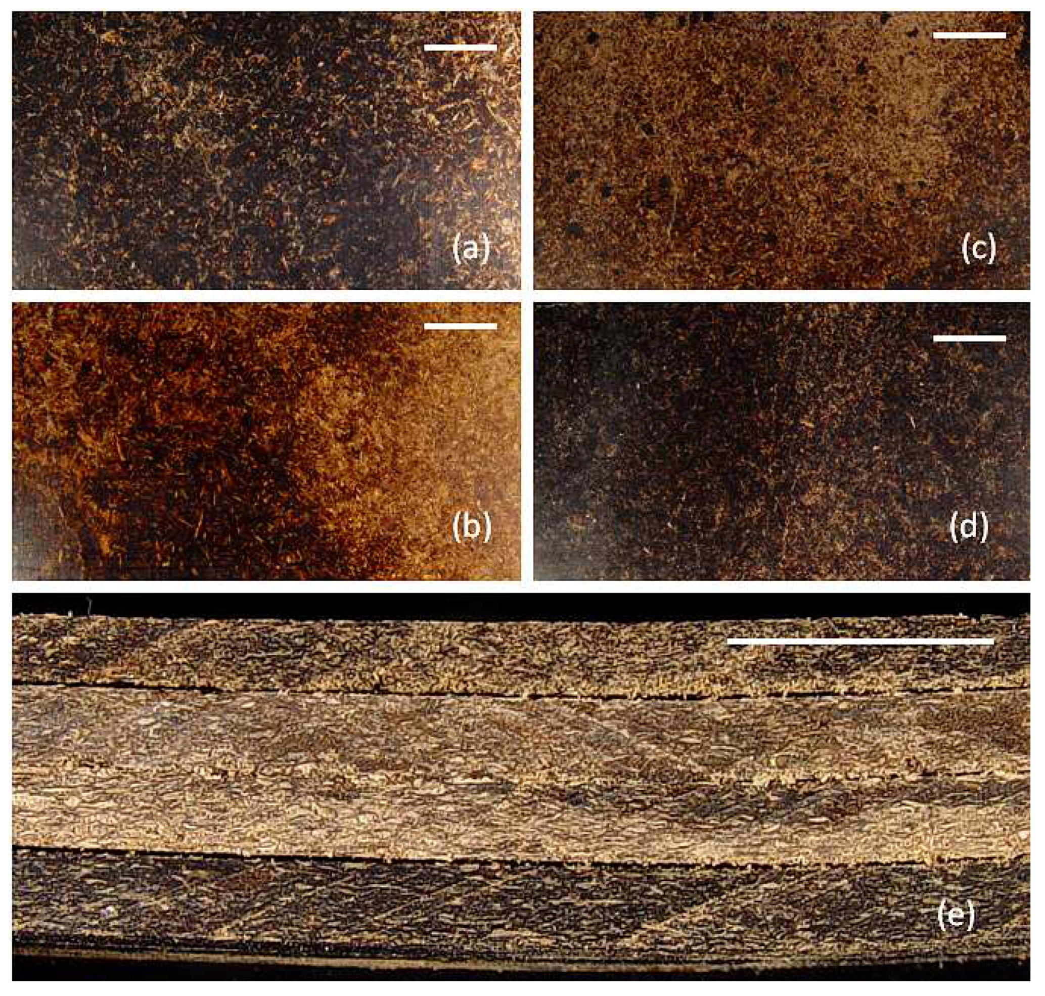 Fibers 06 00026 g002