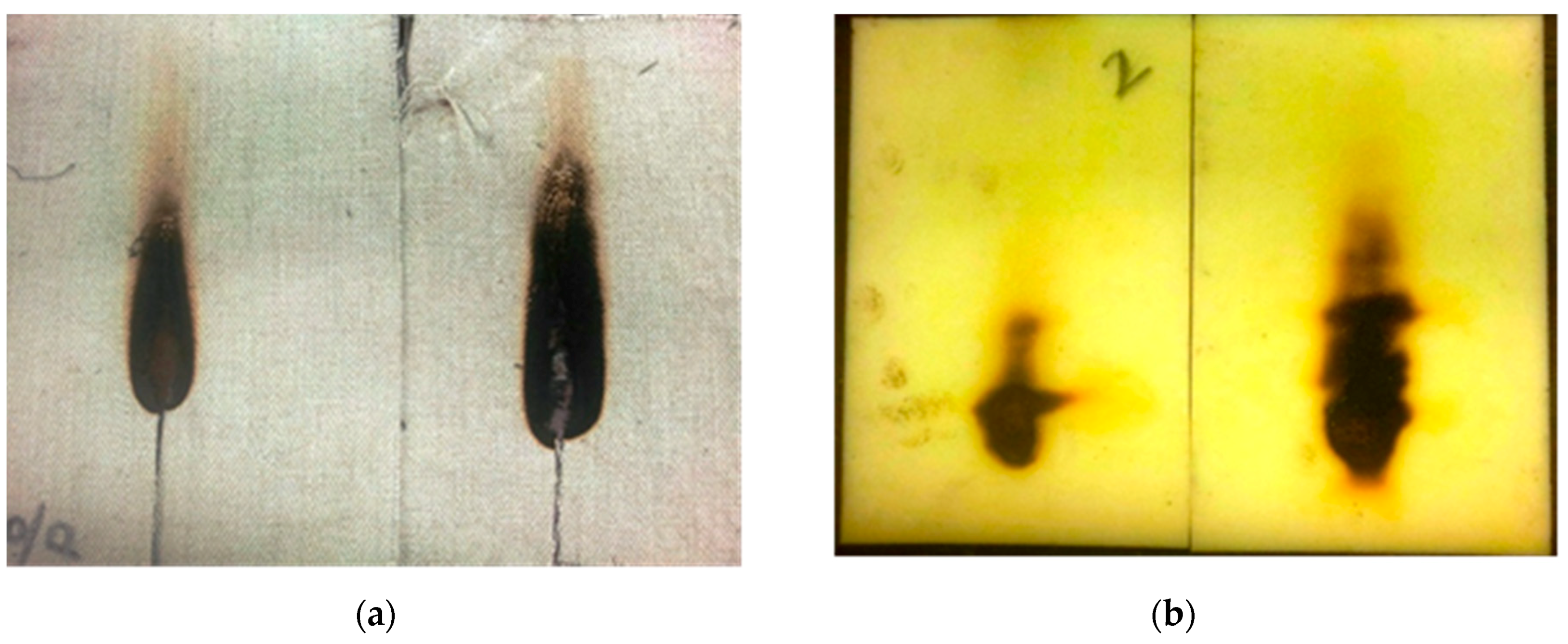 Fibers 06 00031 g003