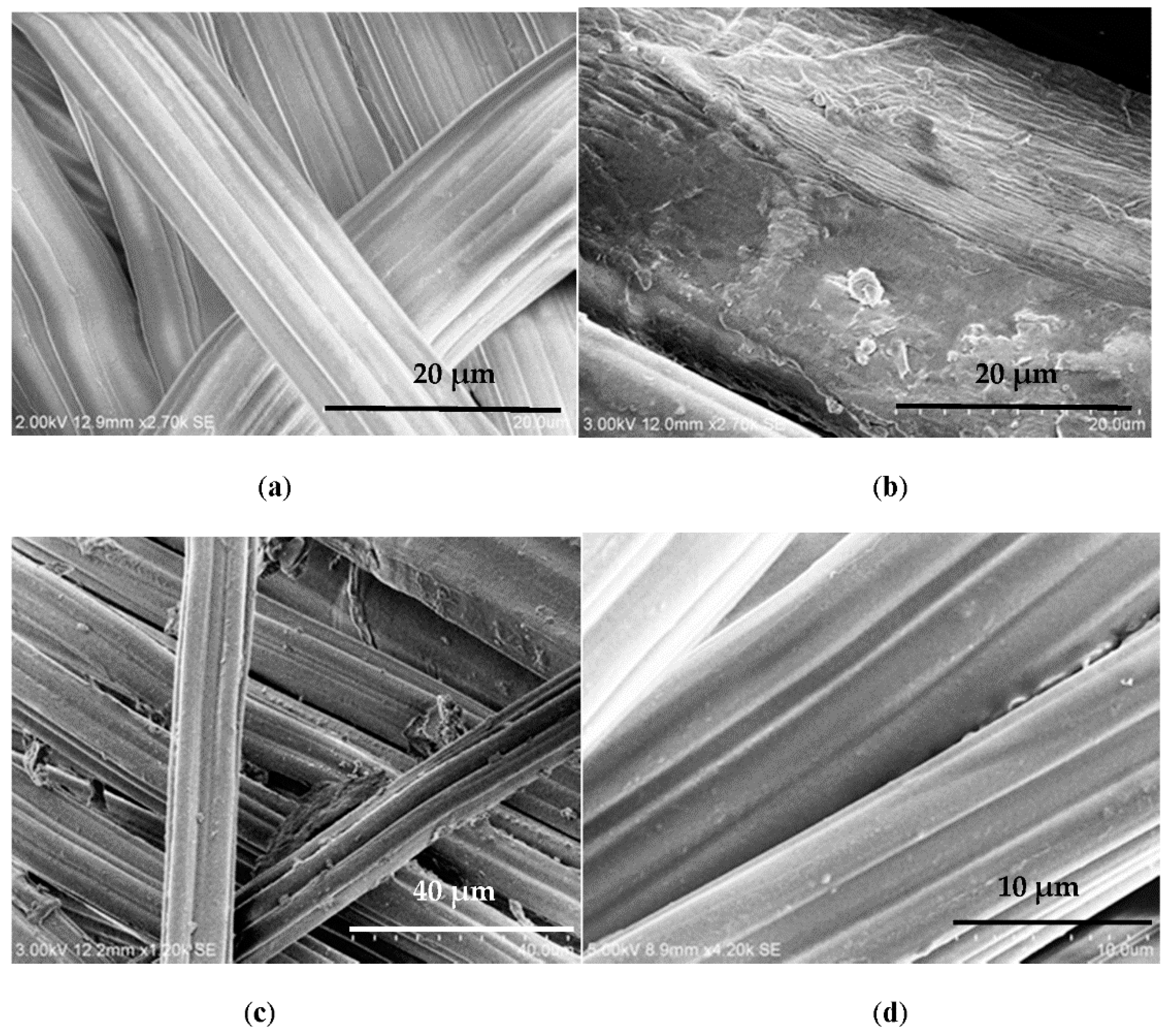 Fibers 06 00031 g008