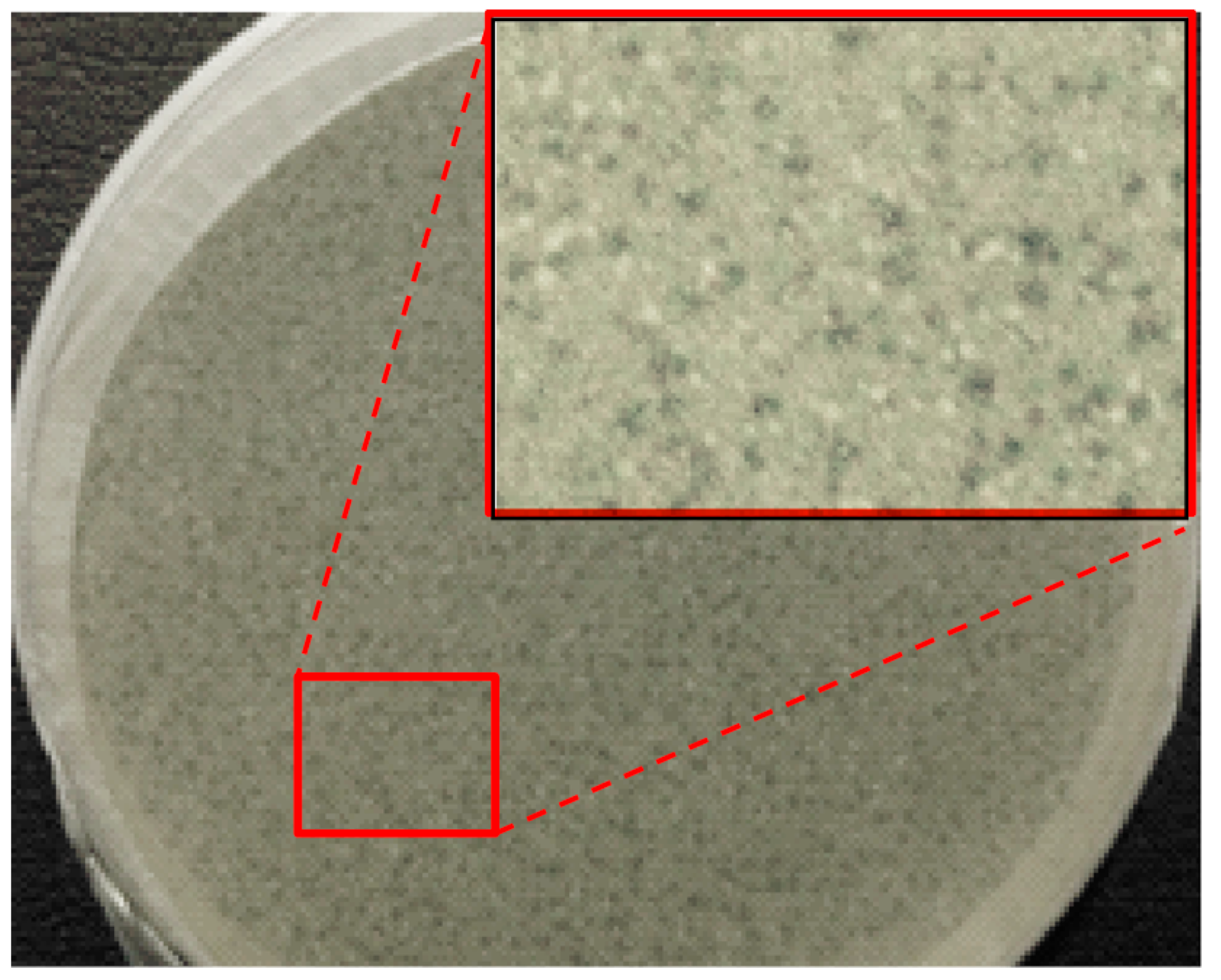 Fibers 06 00033 g004