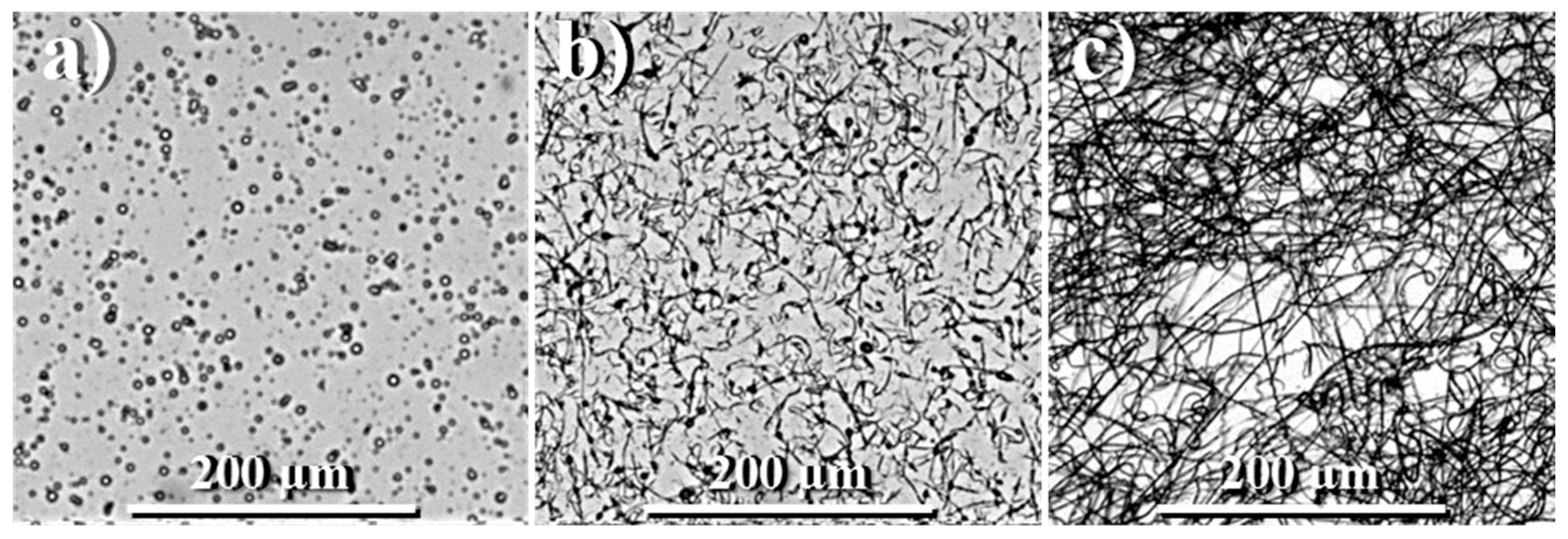 Fibers 06 00033 g005