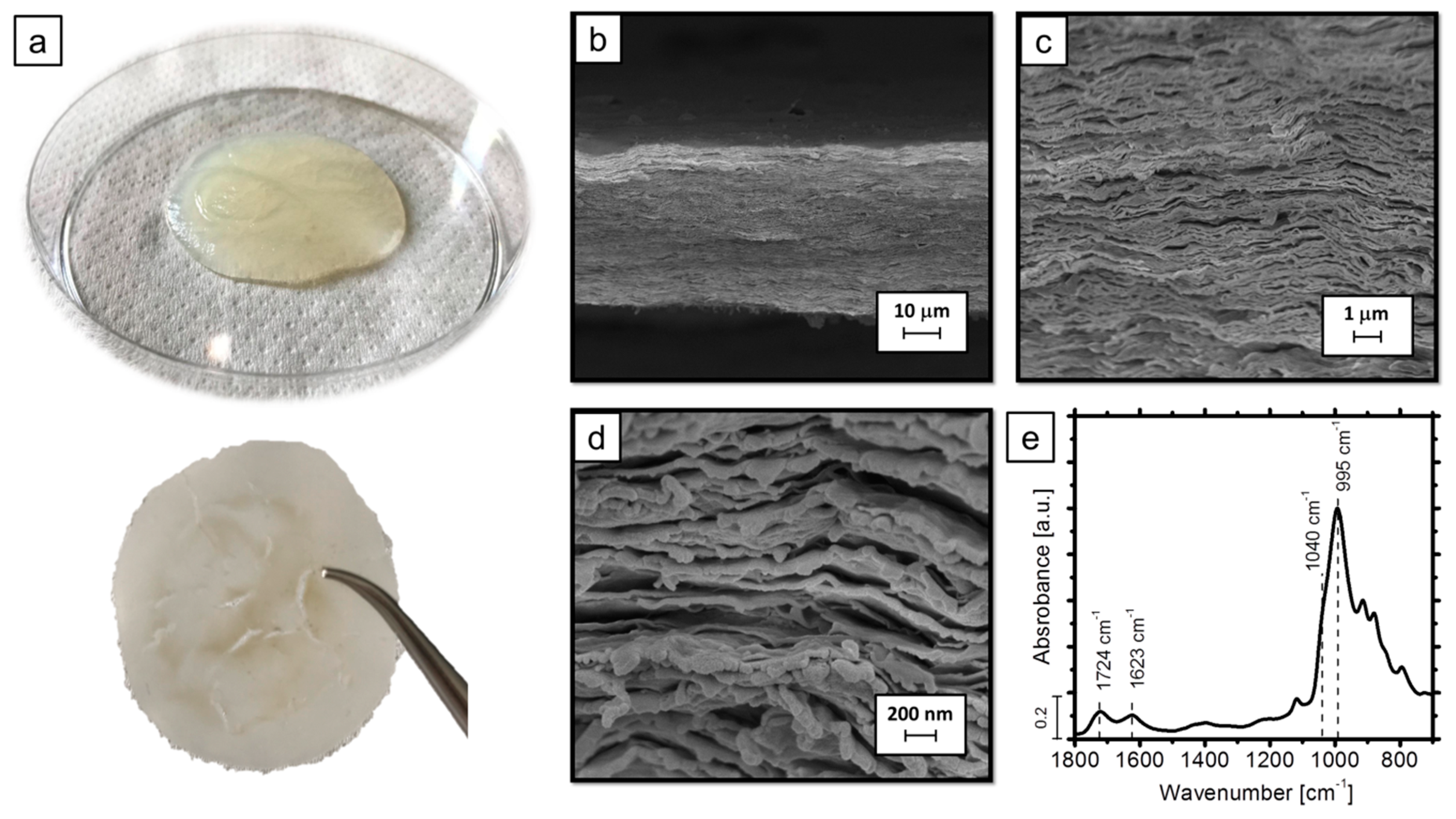 Fibers 06 00036 g002