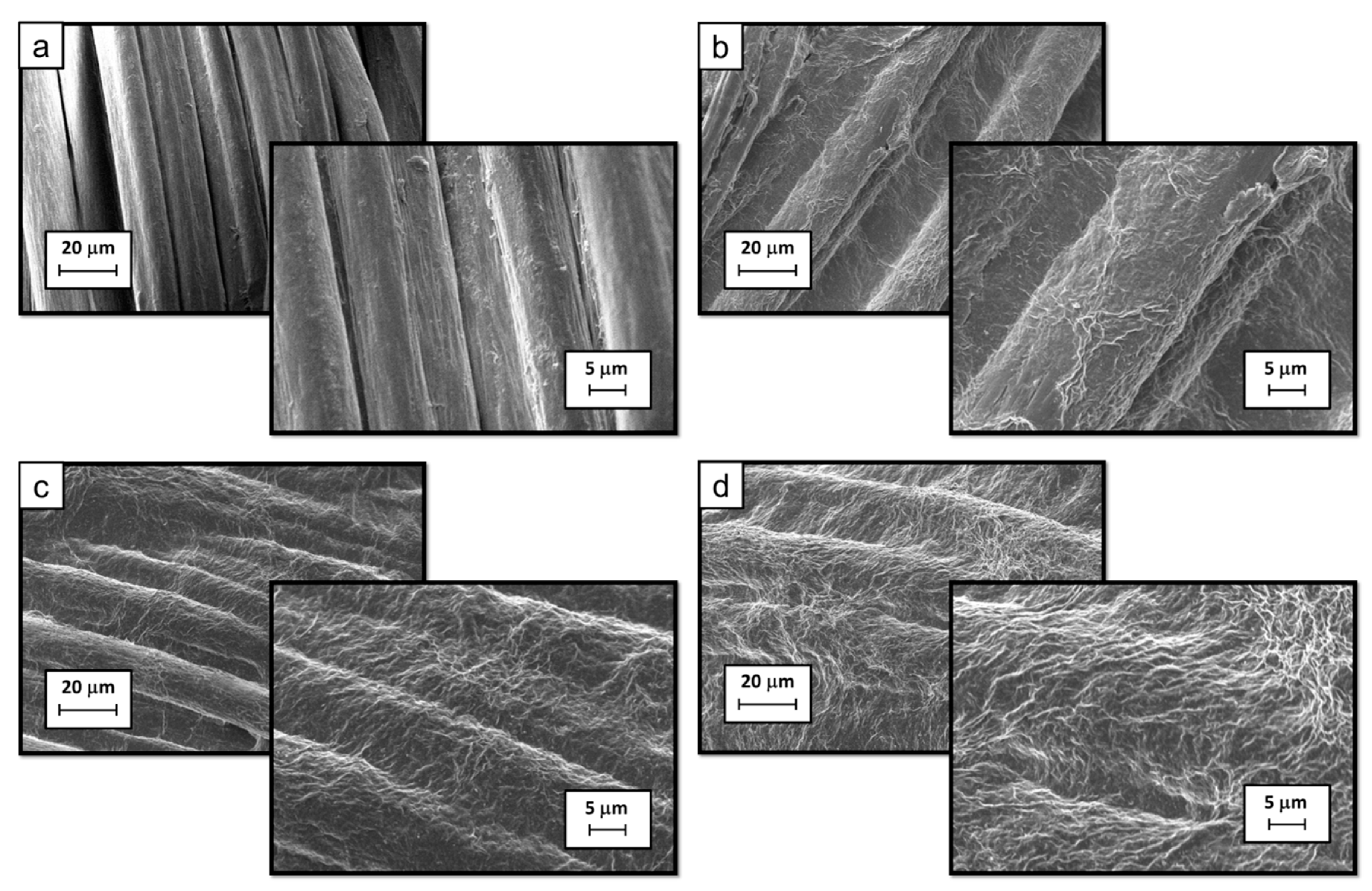 Fibers 06 00036 g003