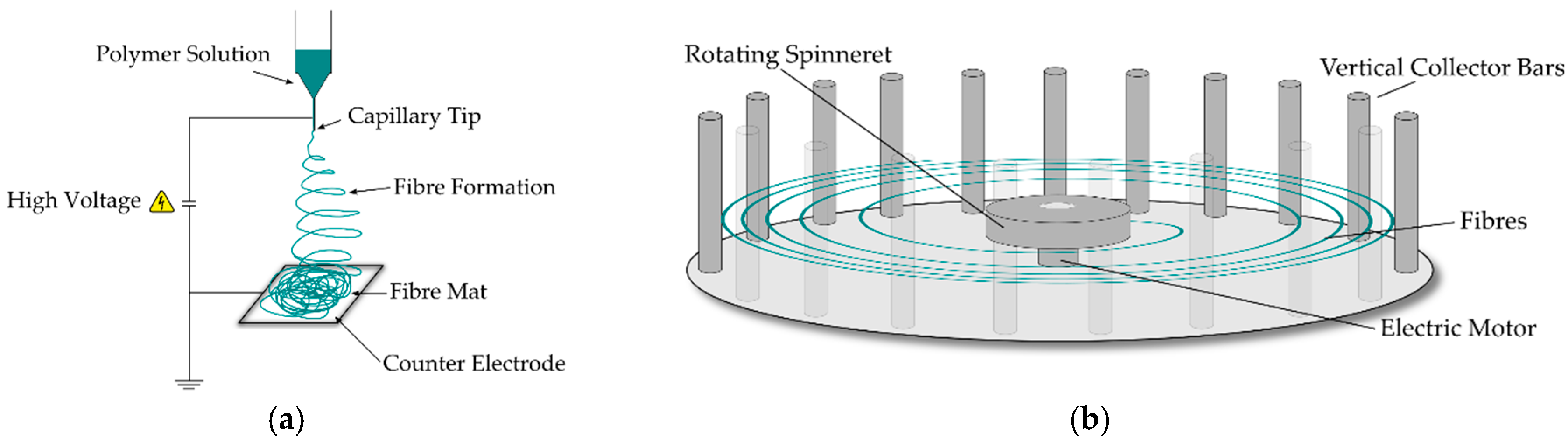Fibers 06 00037 g001