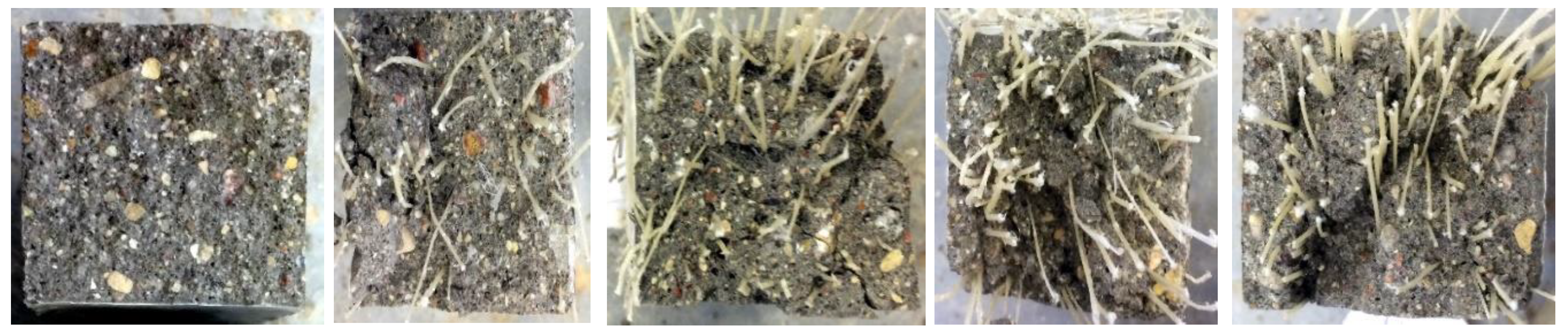 Fibers 06 00038 g013 Fibers 06 00038 g013