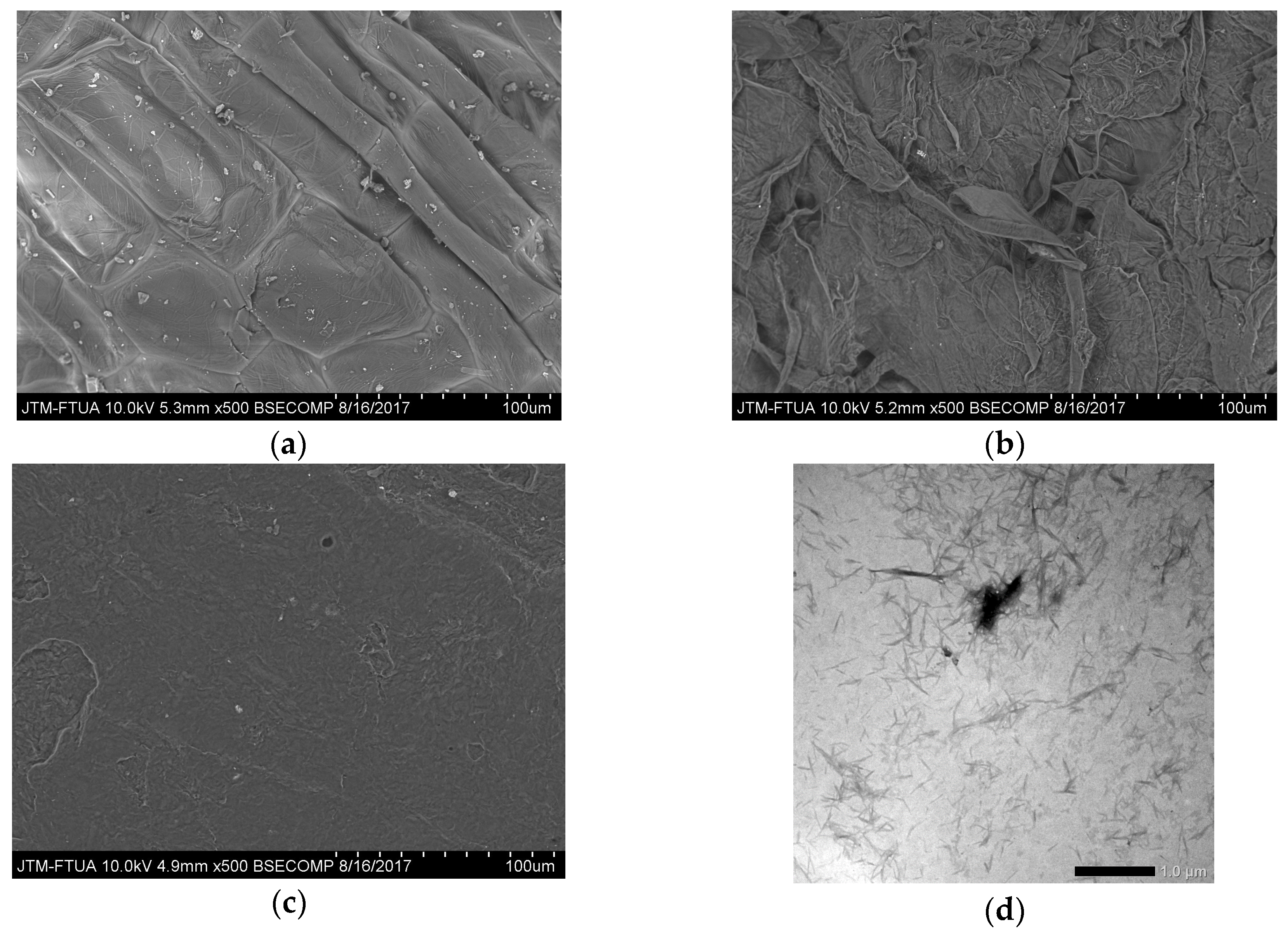 Fibers 06 00040 g001