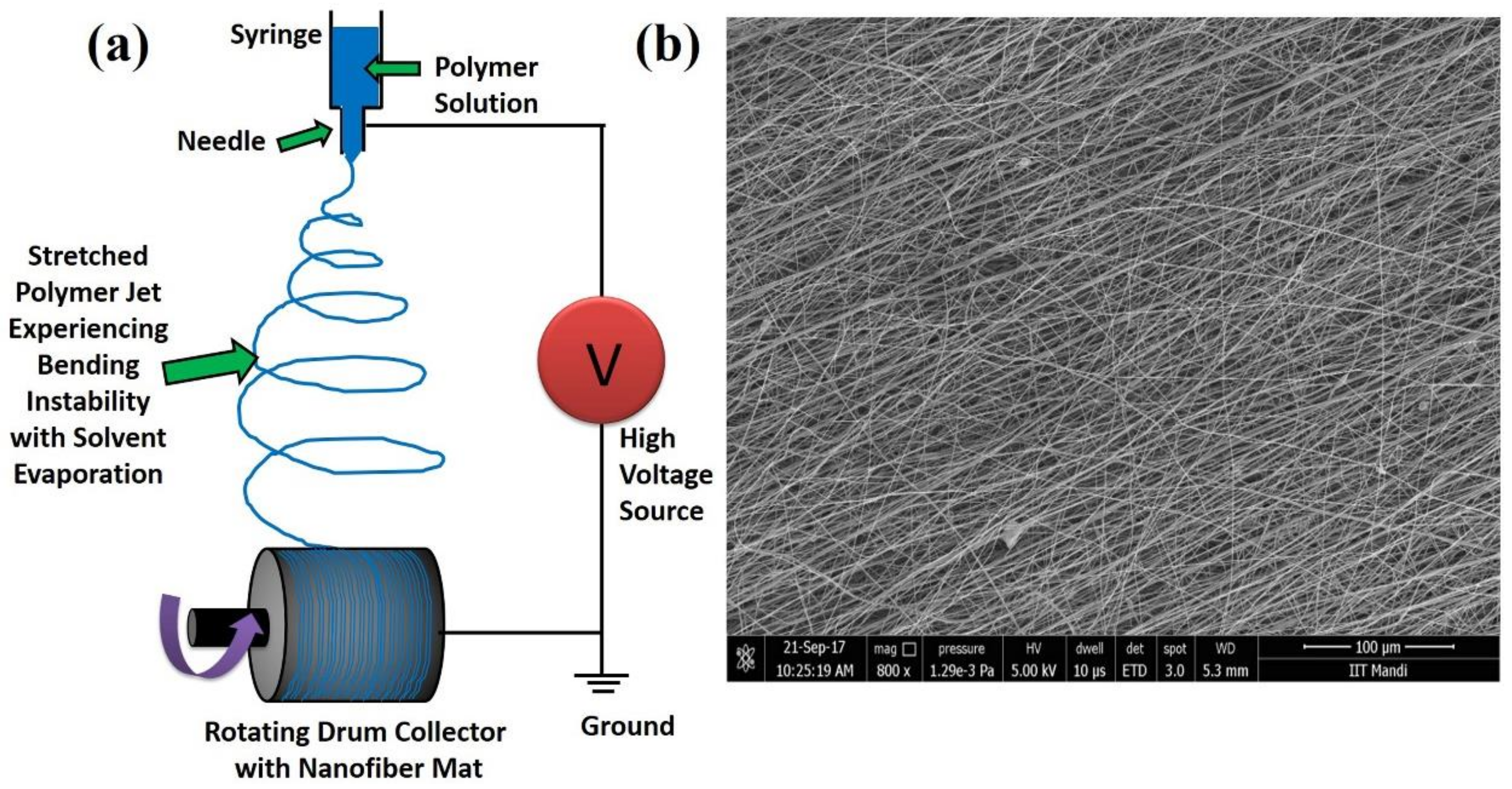 Fibers 06 00045 g002 Fibers 06 00045 g002