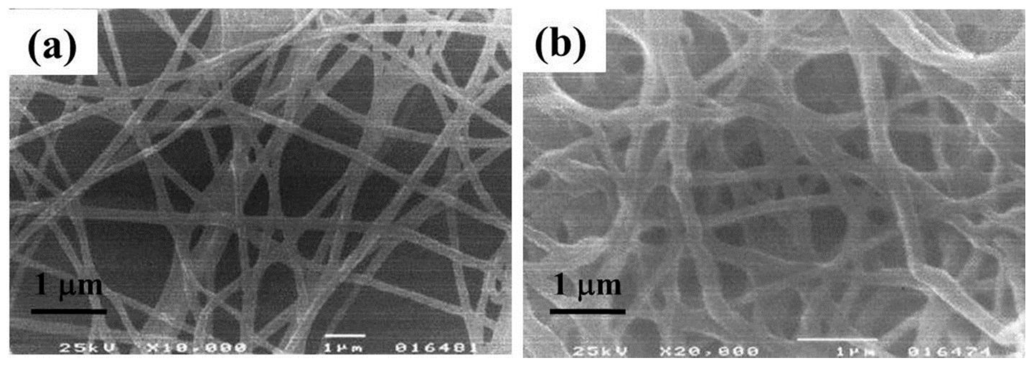 Fibers 06 00045 g005 Fibers 06 00045 g005