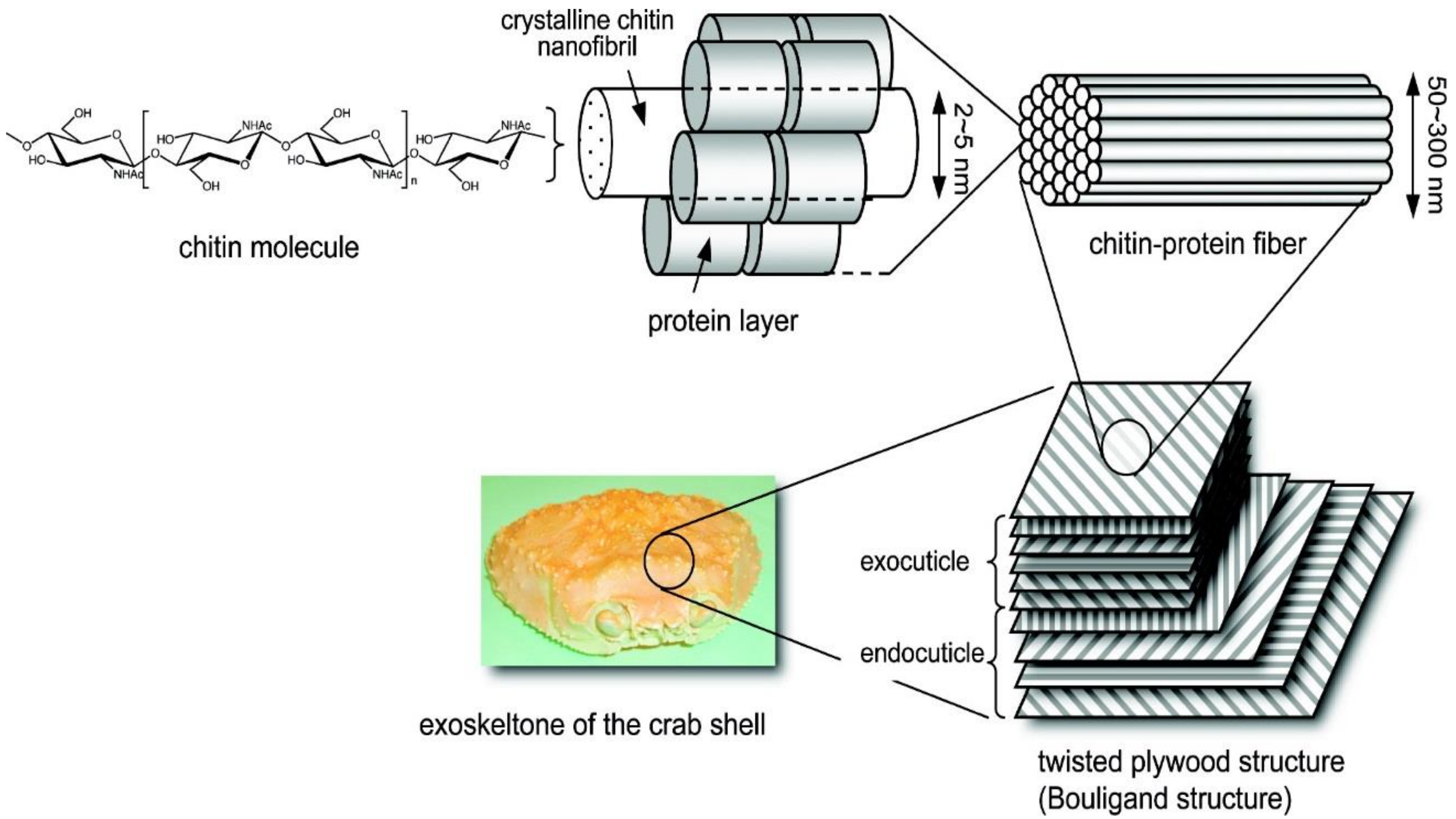 Fibers 06 00045 g008 Fibers 06 00045 g008