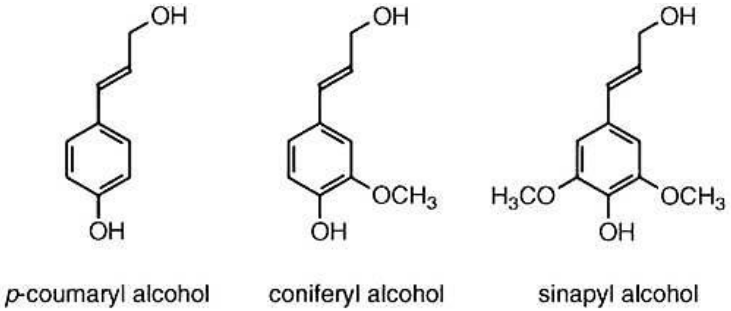 Fibers 06 00045 g011 Fibers 06 00045 g011