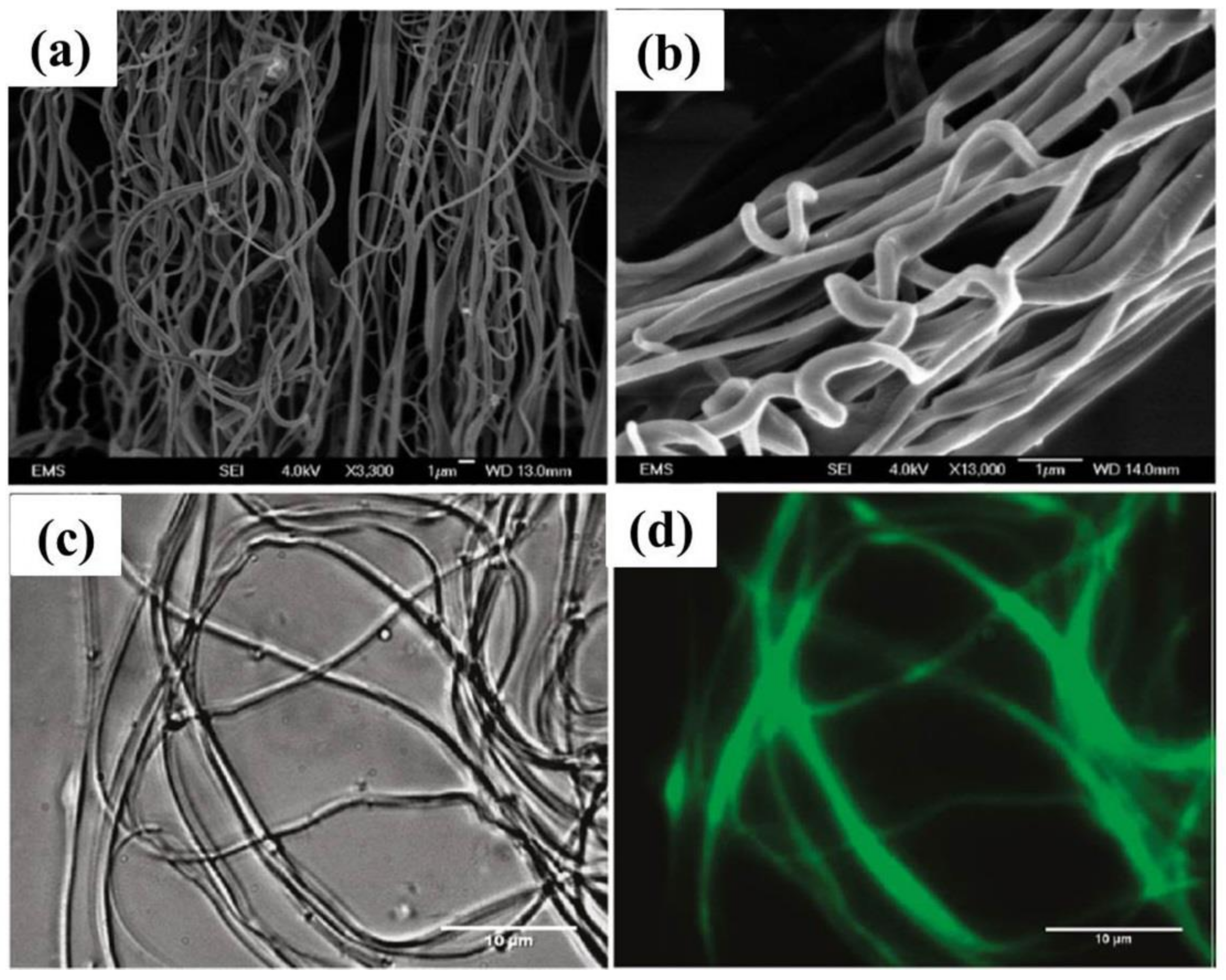 Fibers 06 00045 g016 Fibers 06 00045 g016