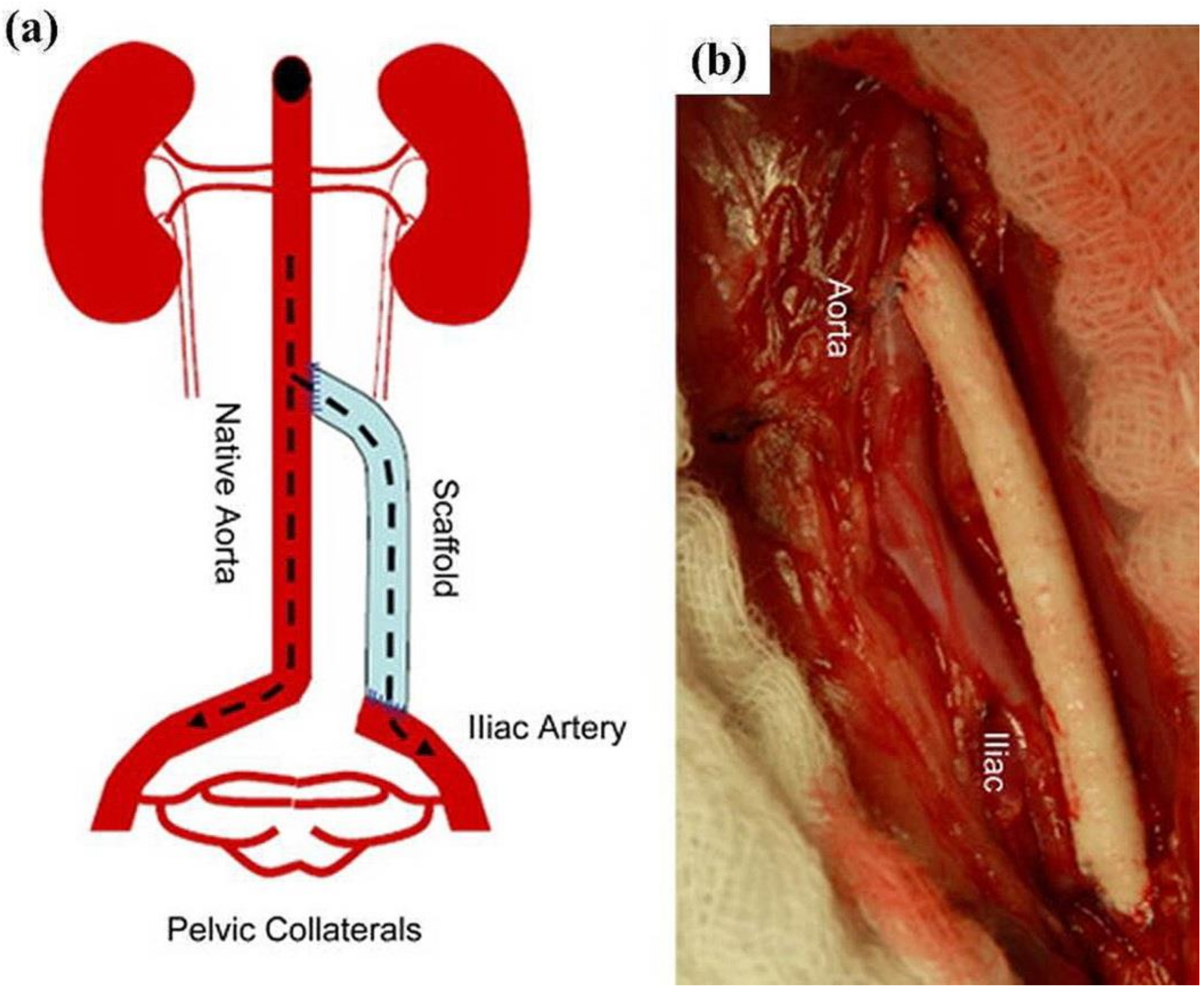Fibers 06 00045 g019 Fibers 06 00045 g019