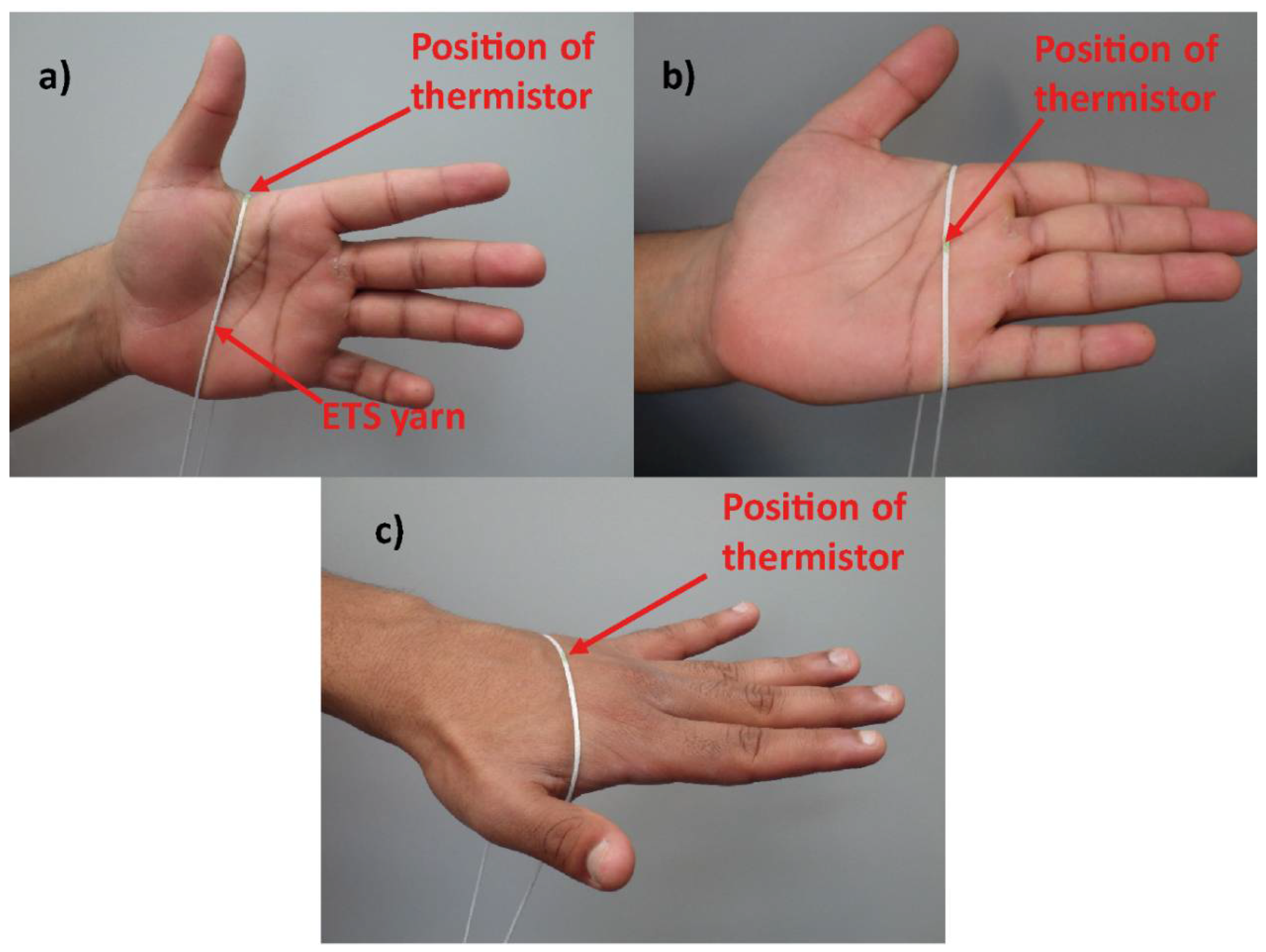 Fibers 06 00046 g003