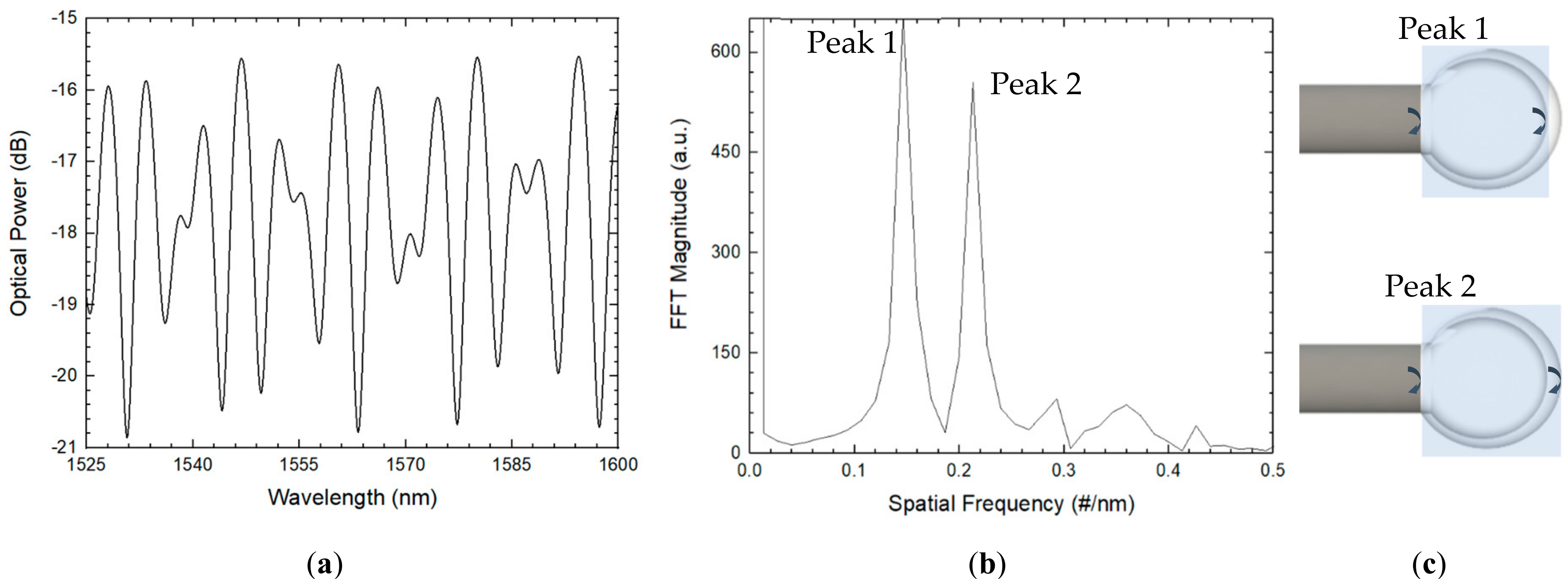 Fibers 06 00048 g007