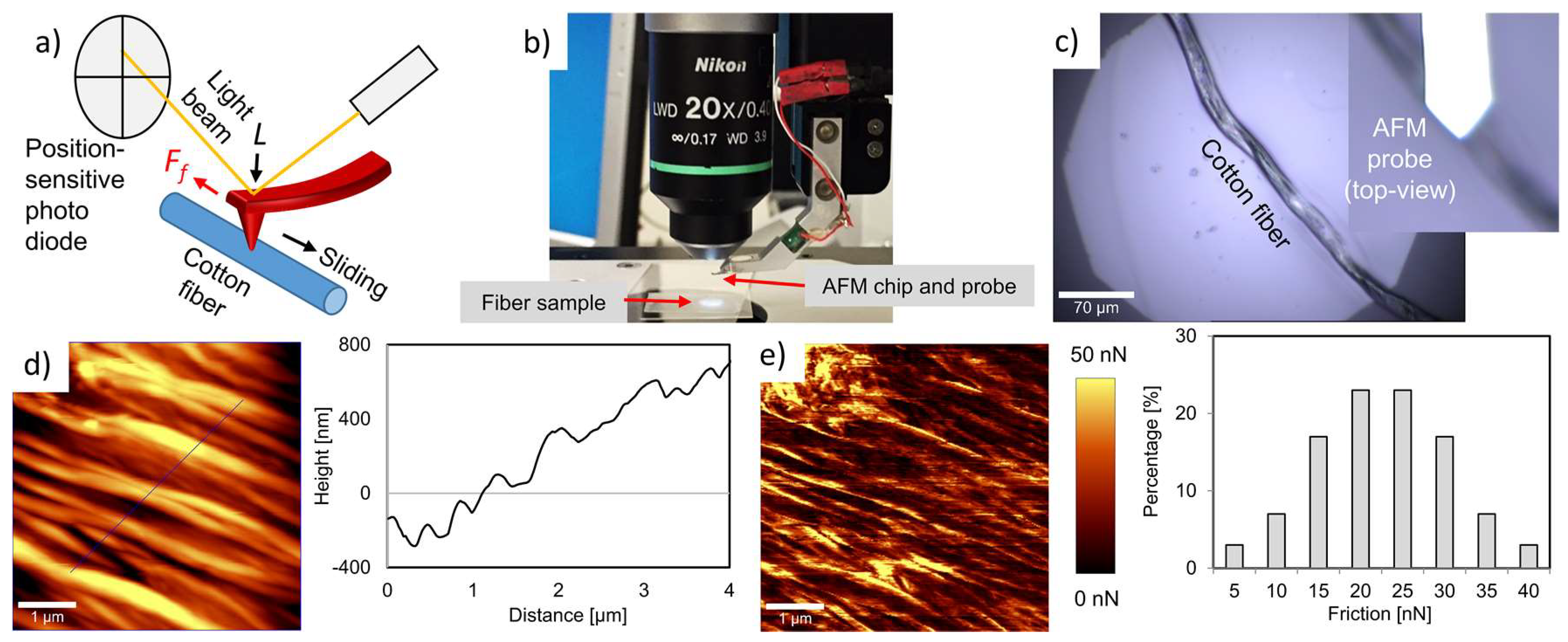 Fibers 06 00049 g005