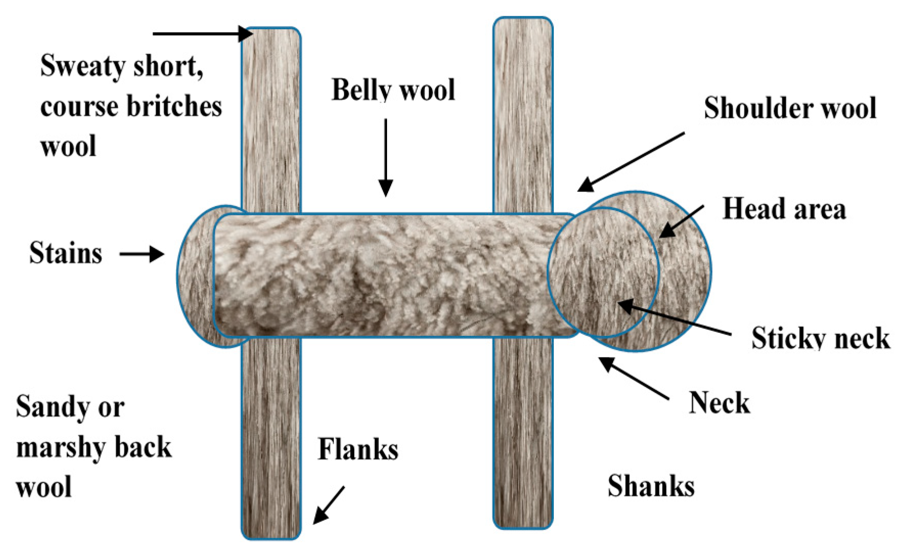 Fibers 06 00055 g004