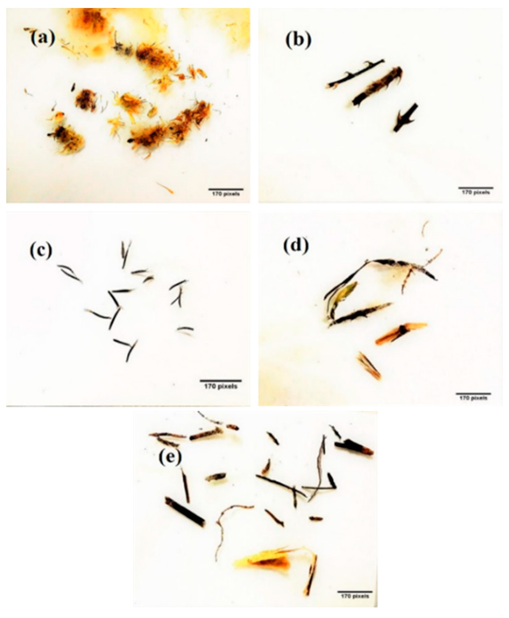 Fibers 06 00055 g006