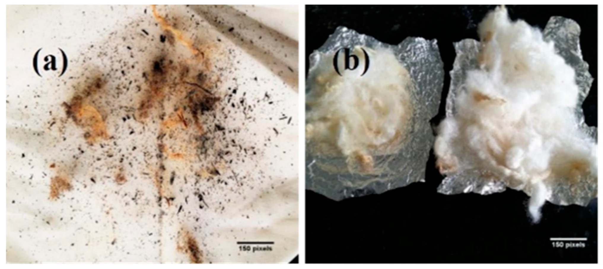 Fibers 06 00055 g010