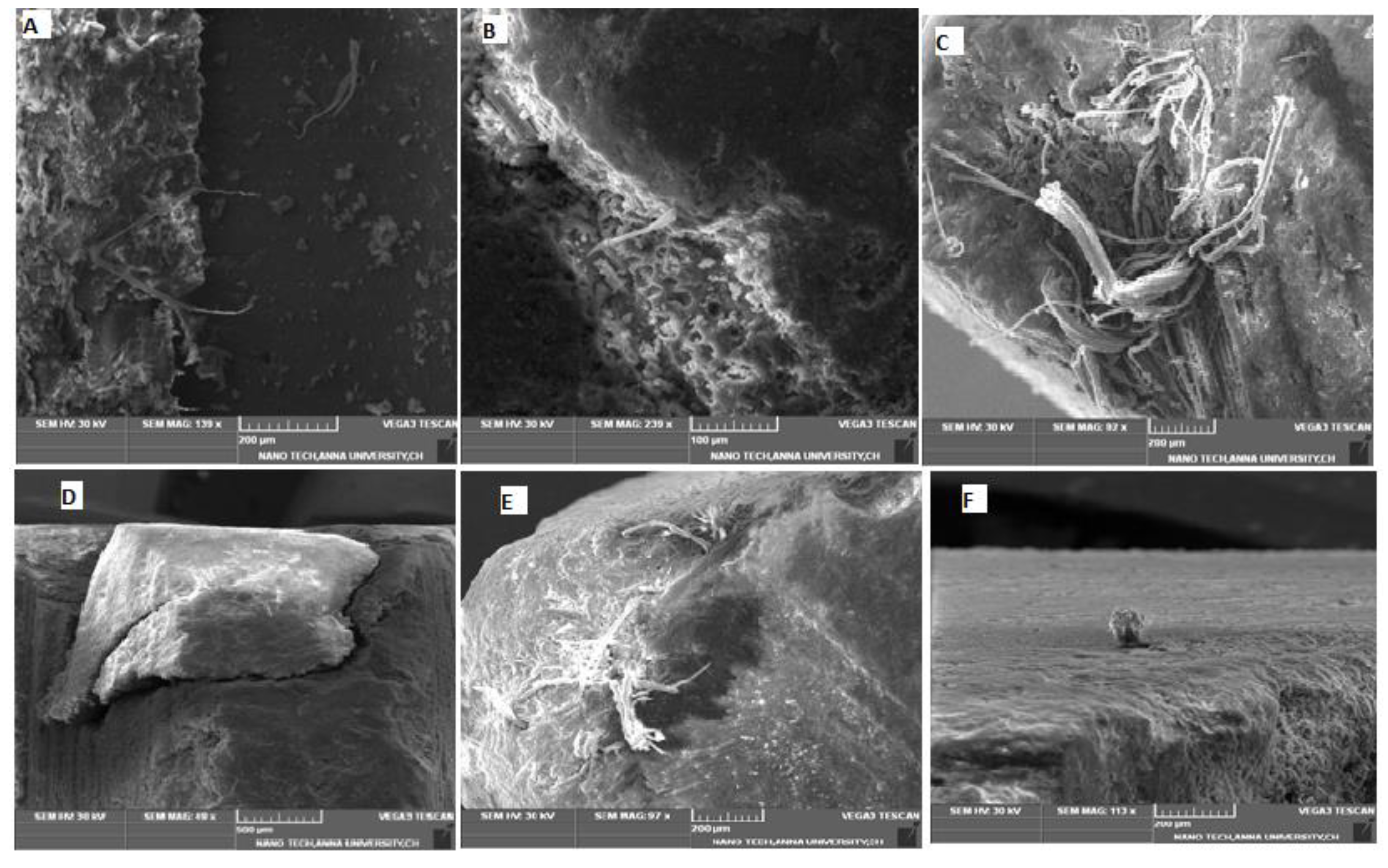 Fibers 06 00060 g008