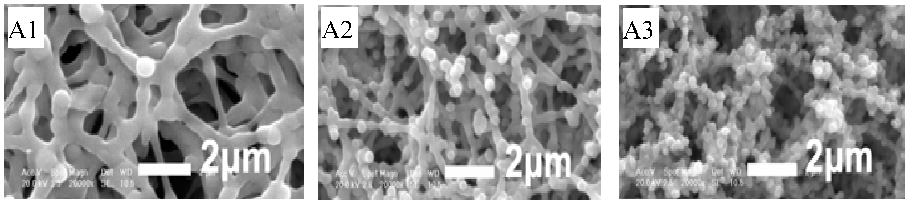 Fibers 06 00067 g003