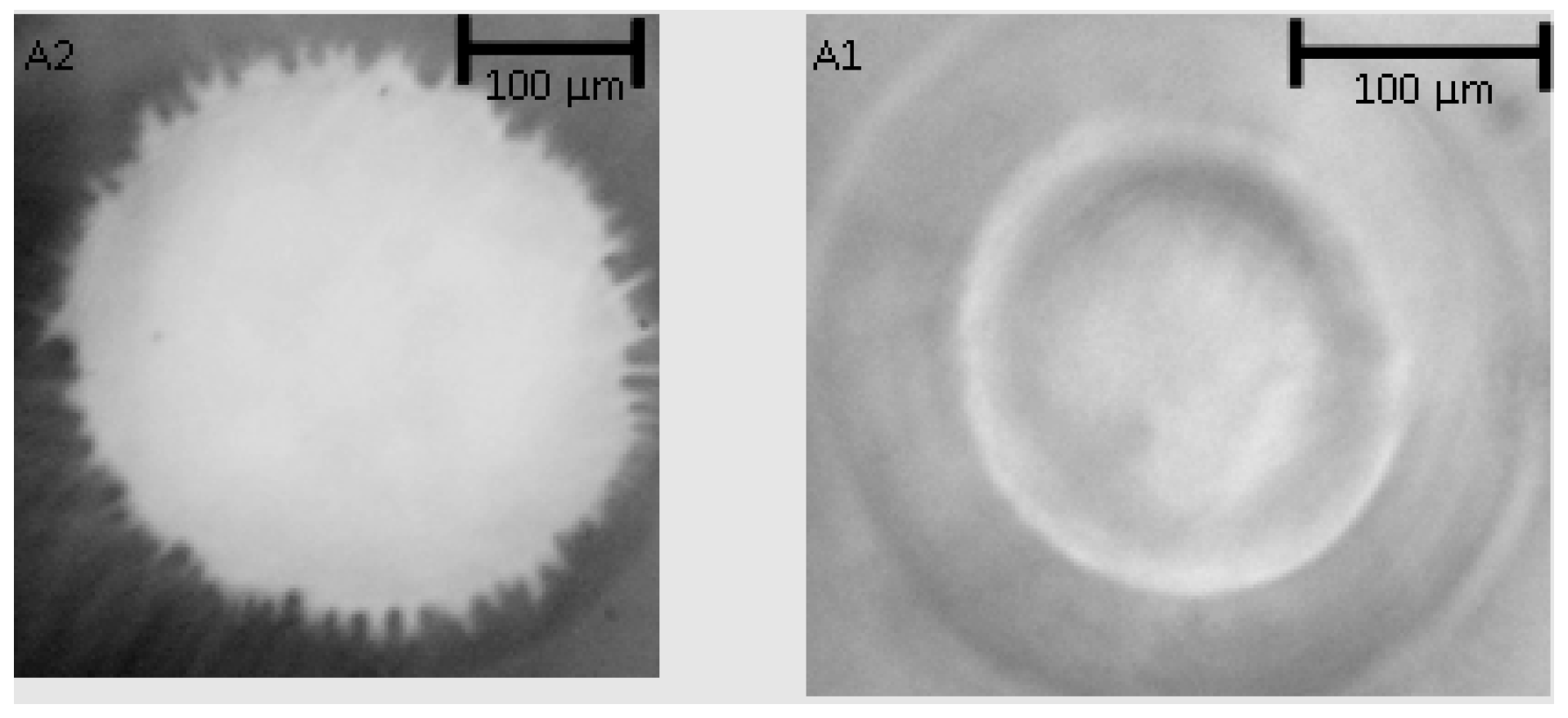 Fibers 06 00067 g006