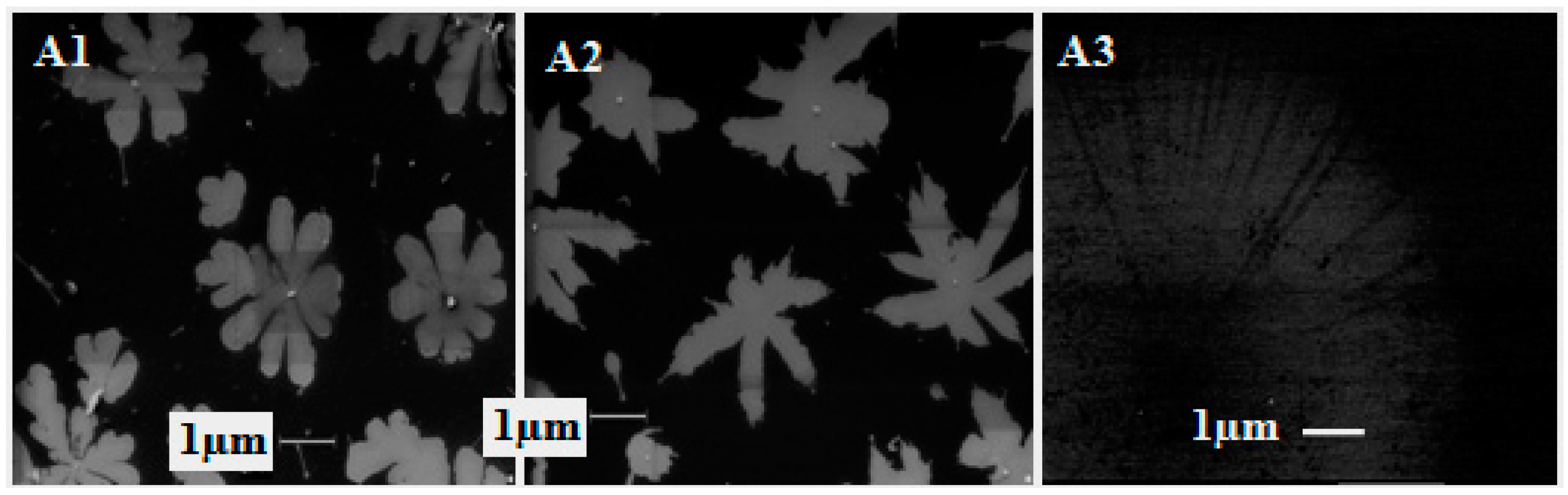 Fibers 06 00067 g009