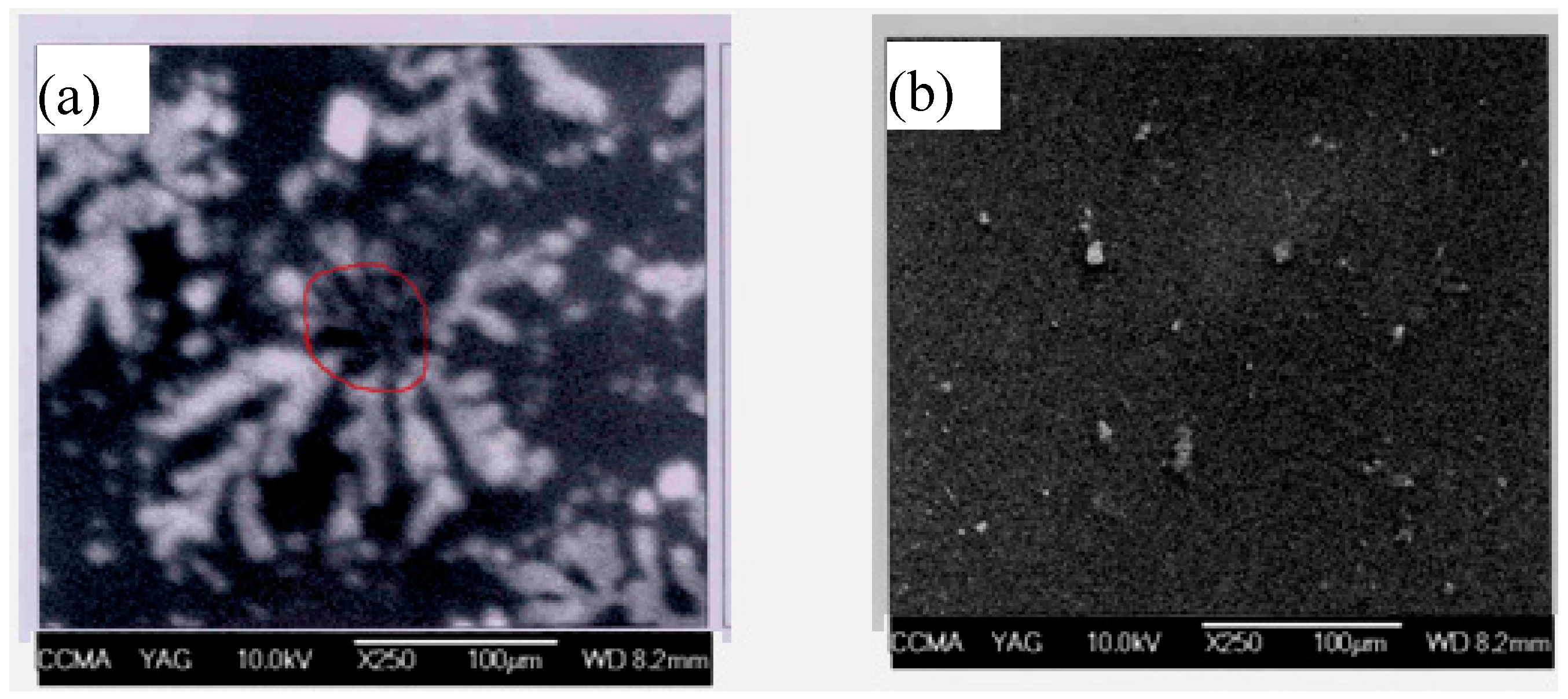 Fibers 06 00067 g011