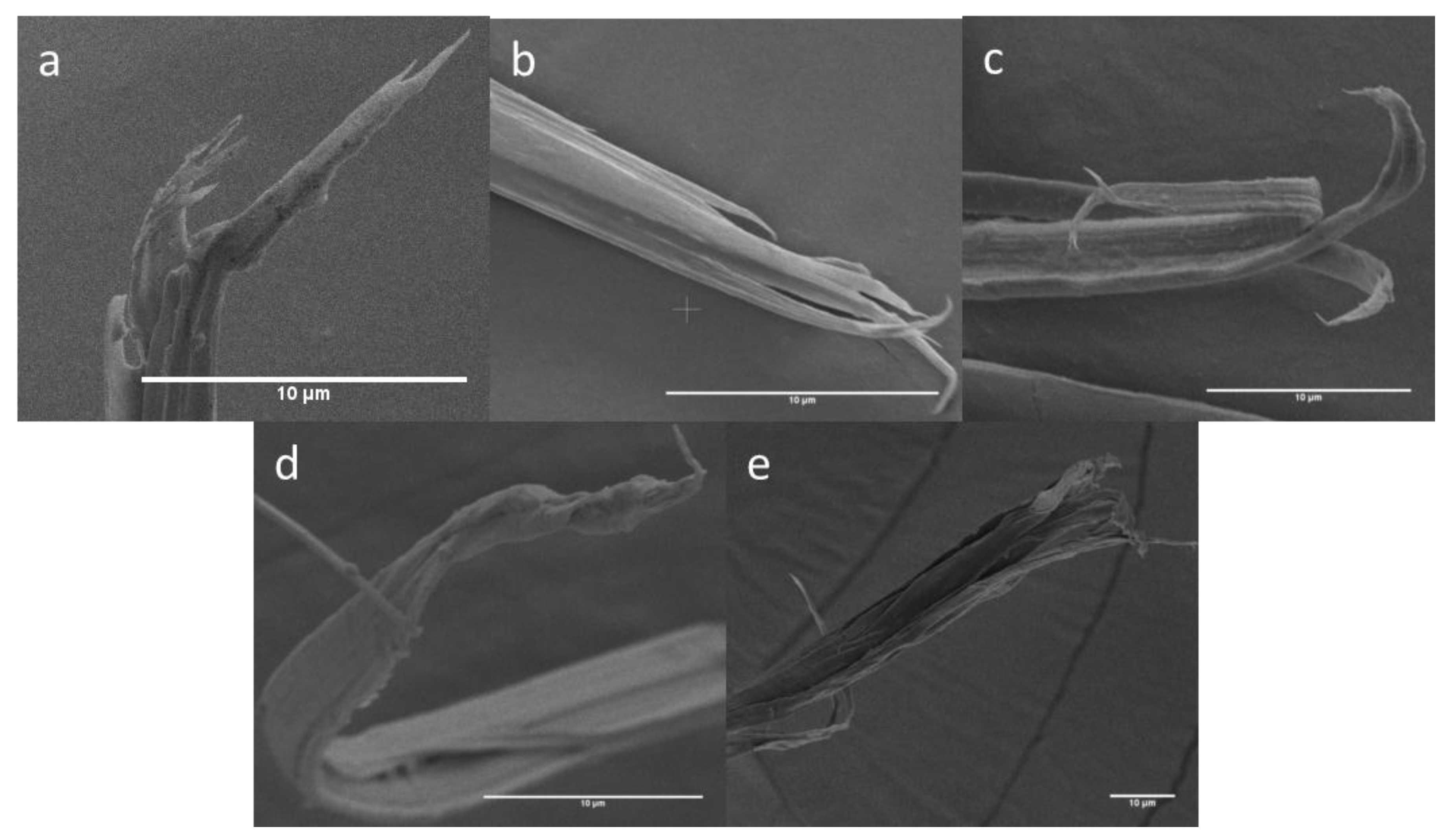 Fibers 06 00069 g009