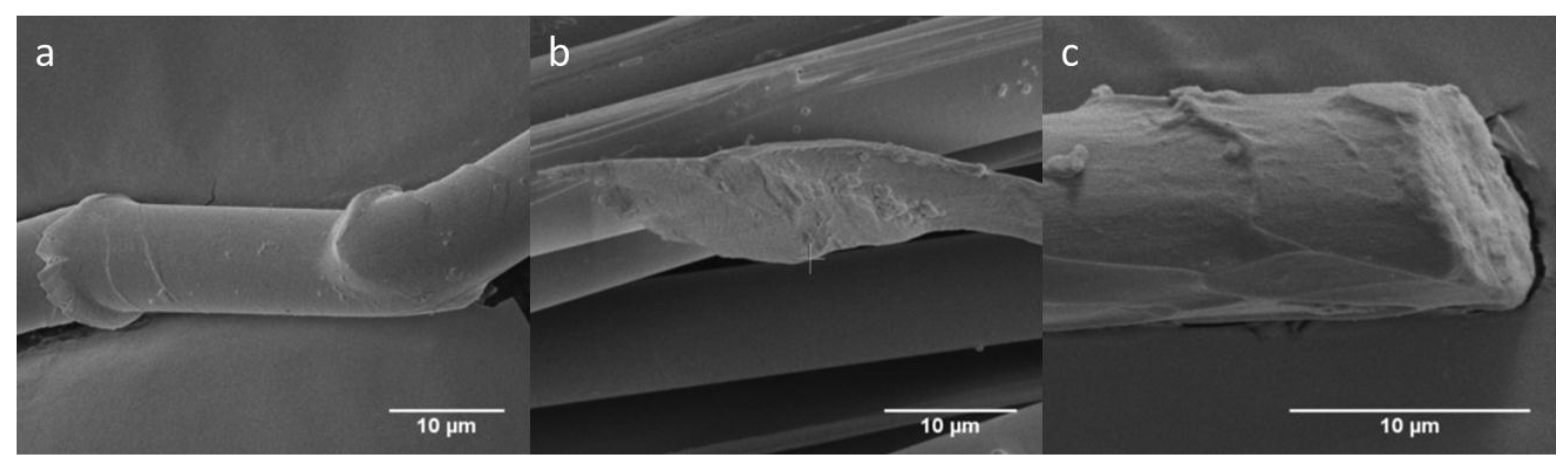 Fibers 06 00069 g010