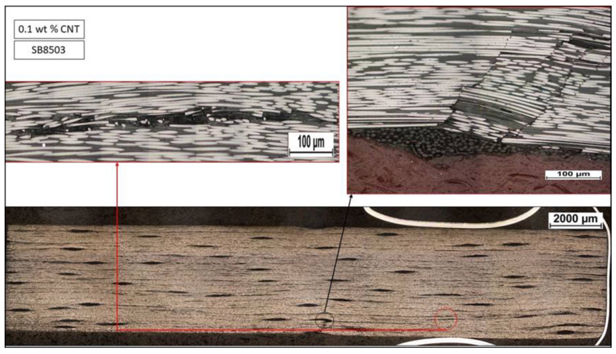 Fibers 06 00071 g007