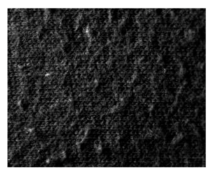 Fibers 06 00073 i008