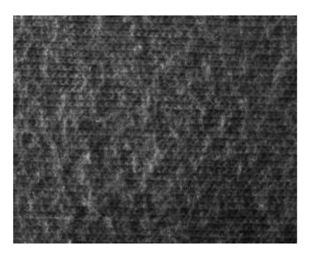 Fibers 06 00073 i010