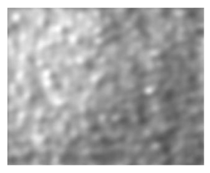 Fibers 06 00073 i011