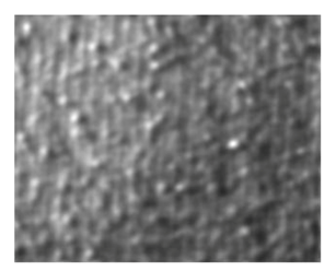 Fibers 06 00073 i012