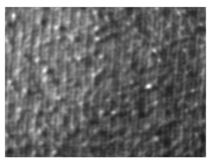 Fibers 06 00073 i014