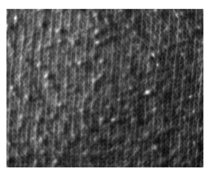 Fibers 06 00073 i015