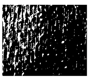 Fibers 06 00073 i022