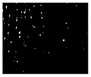 Fibers 06 00073 i024