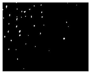 Fibers 06 00073 i032