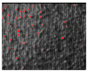 Fibers 06 00073 i034